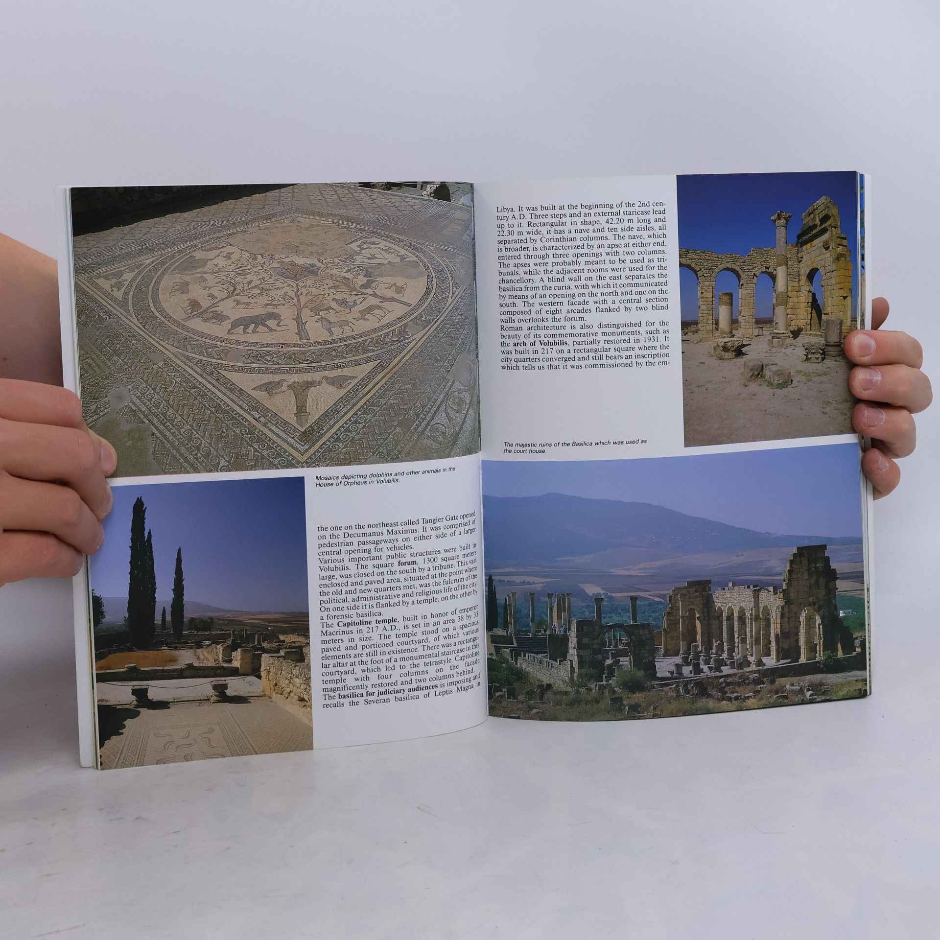Kolektiv autorů The Golden Book of Morocco