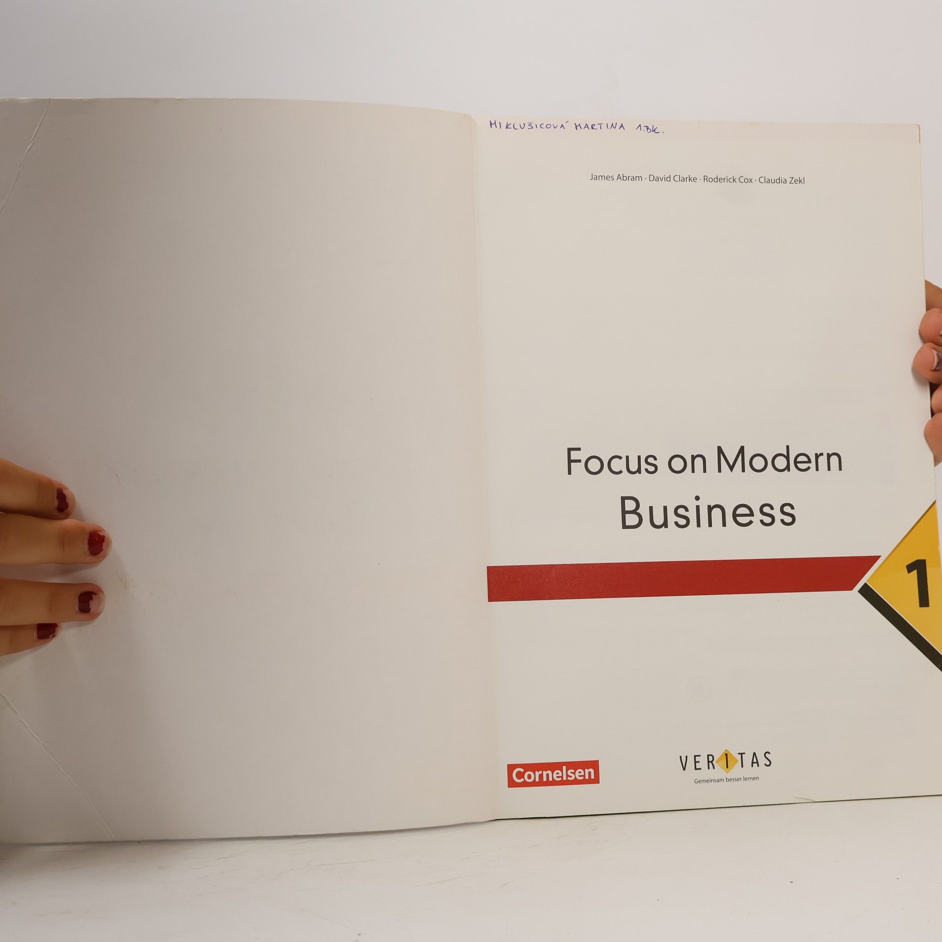 Kolektív autorov Focus on Modern business