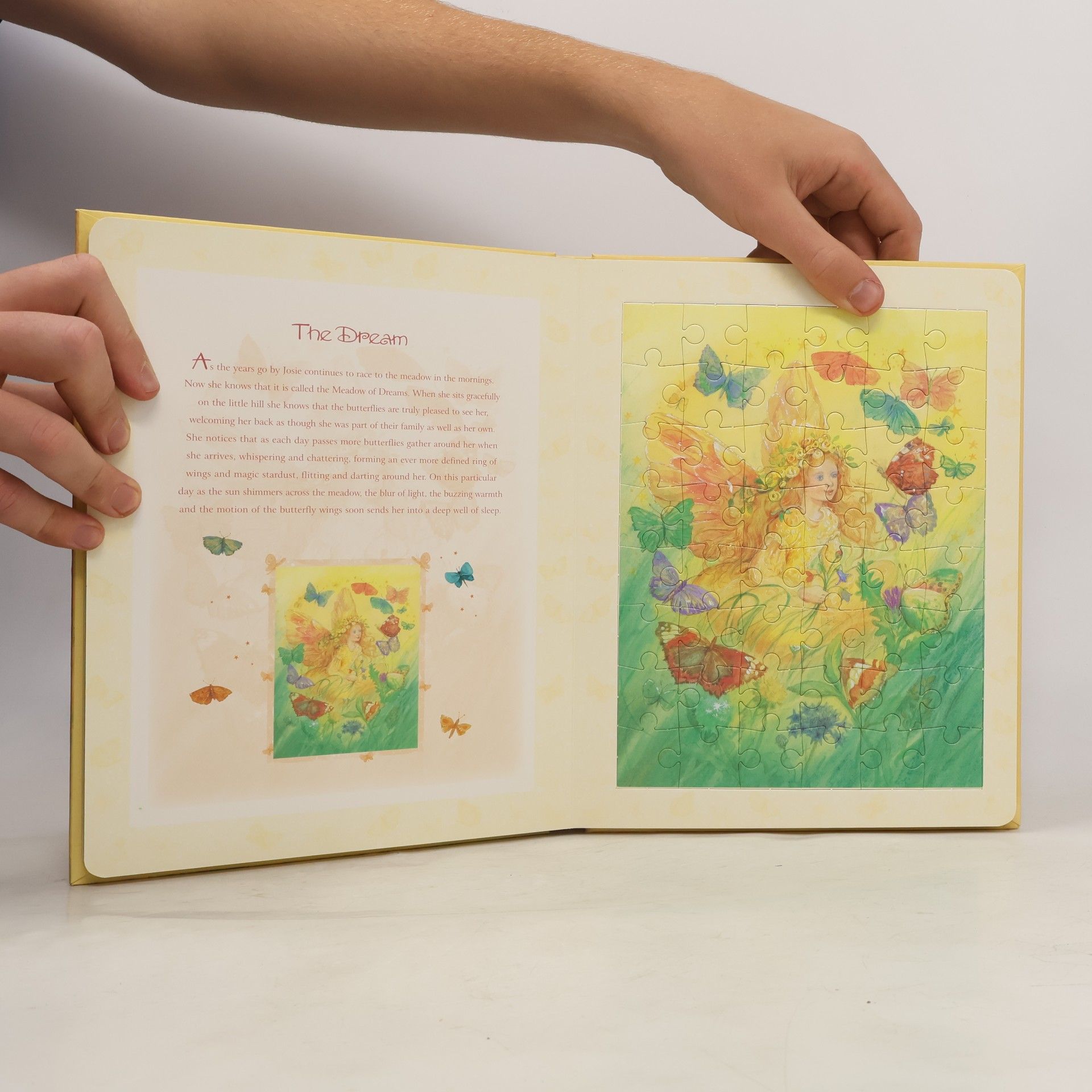 Patrick Thaddeus Jackson The Butterfly Fairy Jigsaw Book
