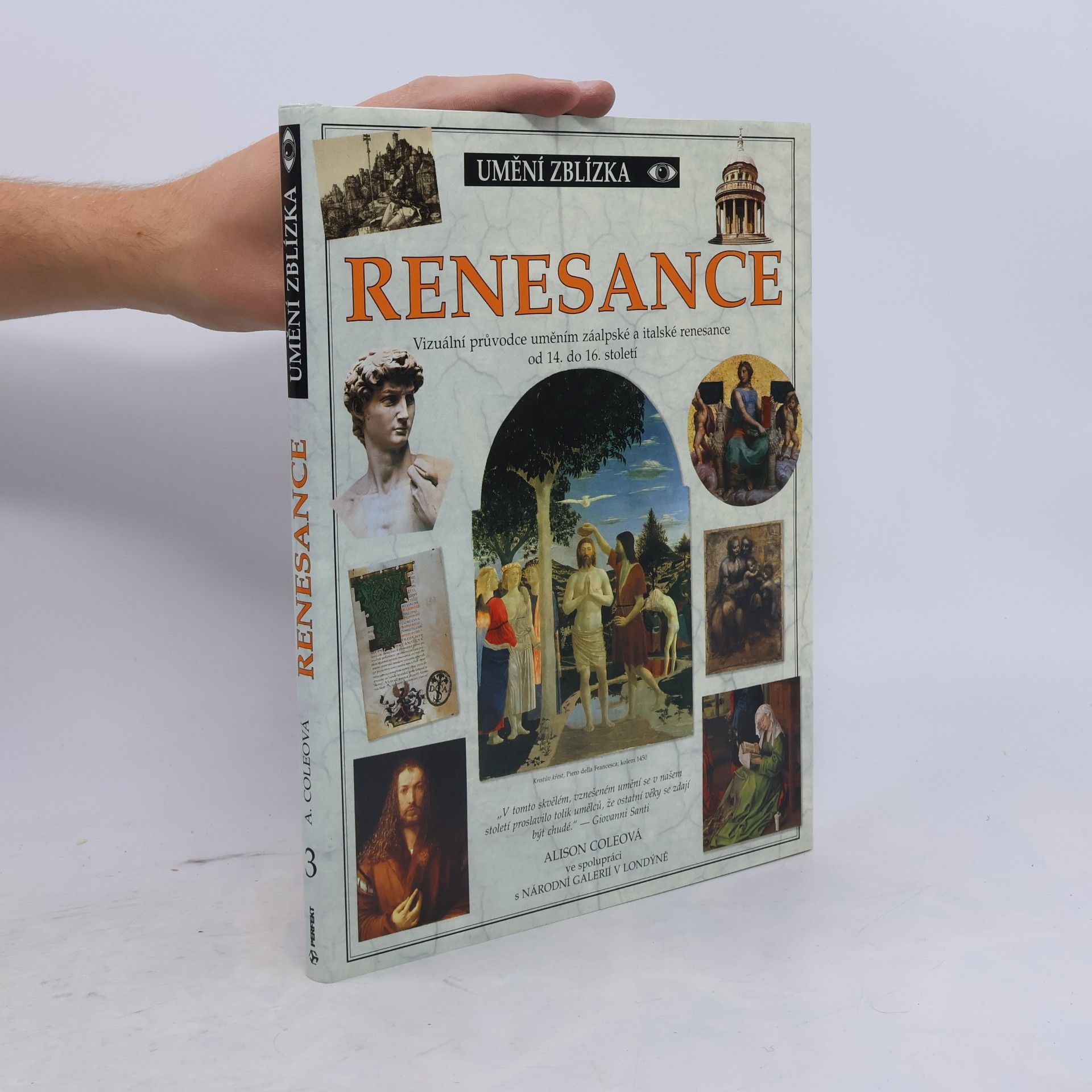 Alison Cole Renesance