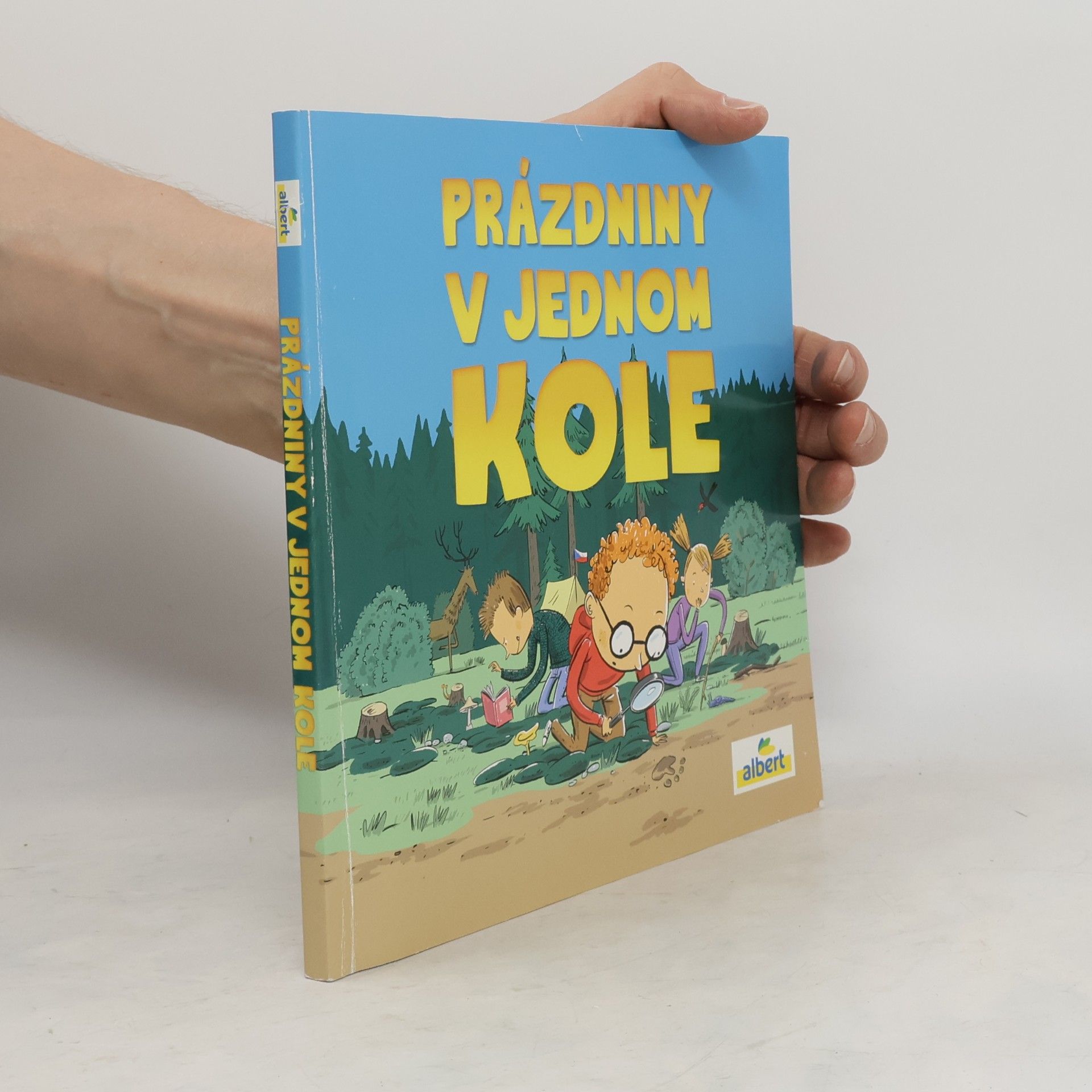 Kolektiv autorů Prázdniny v jednom kole