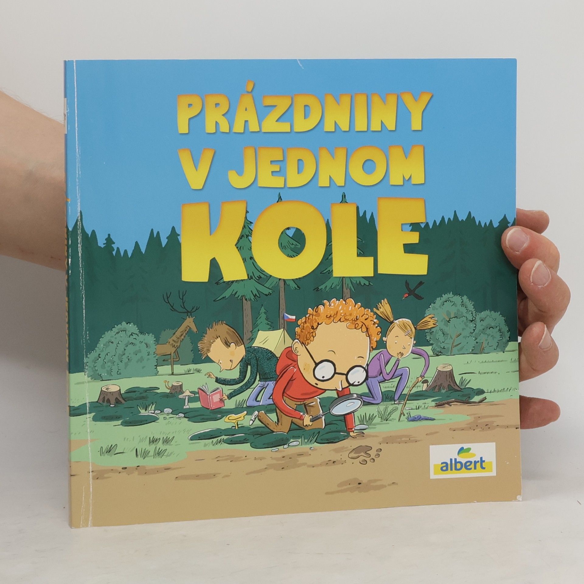 Auteurscollectief Prázdniny v jednom kole