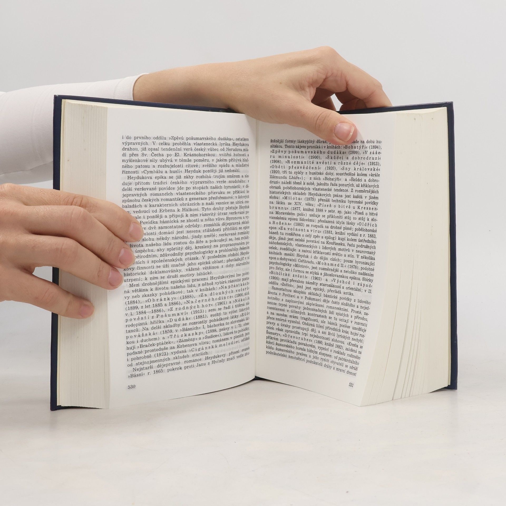 Jan Václav Novák Přehledné dějiny literatury české