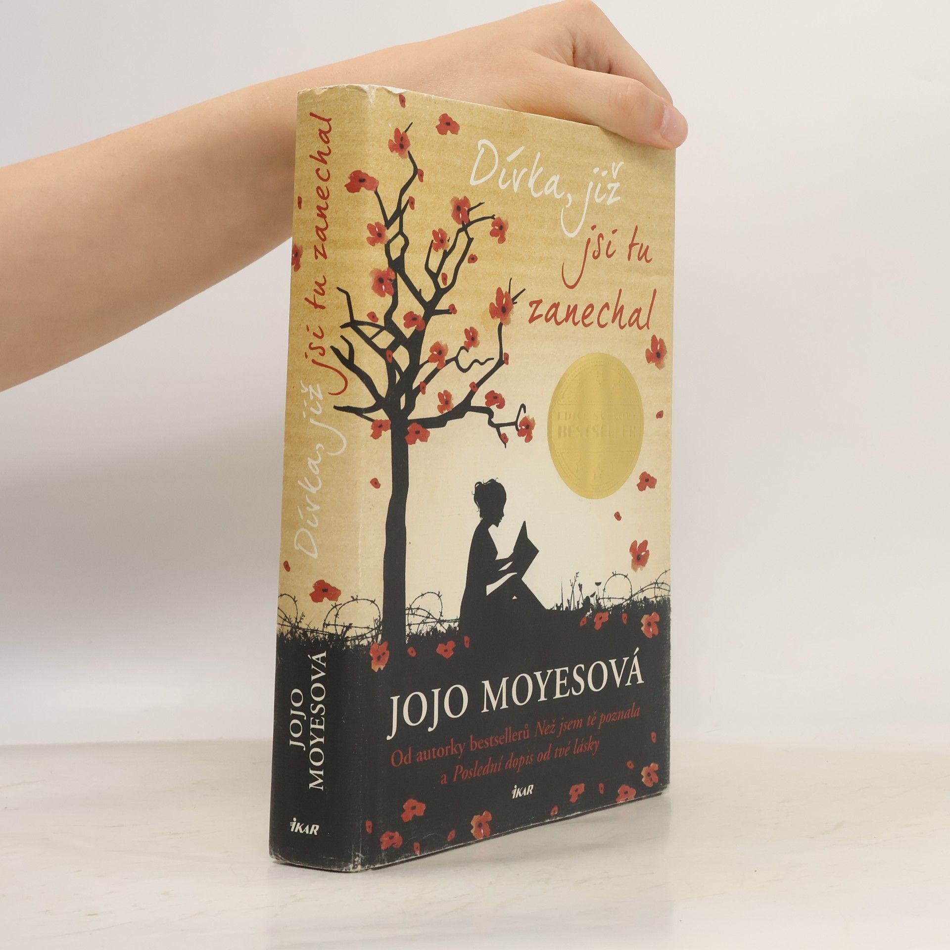 Jojo Moyes Dívka, již jsi tu zanechal