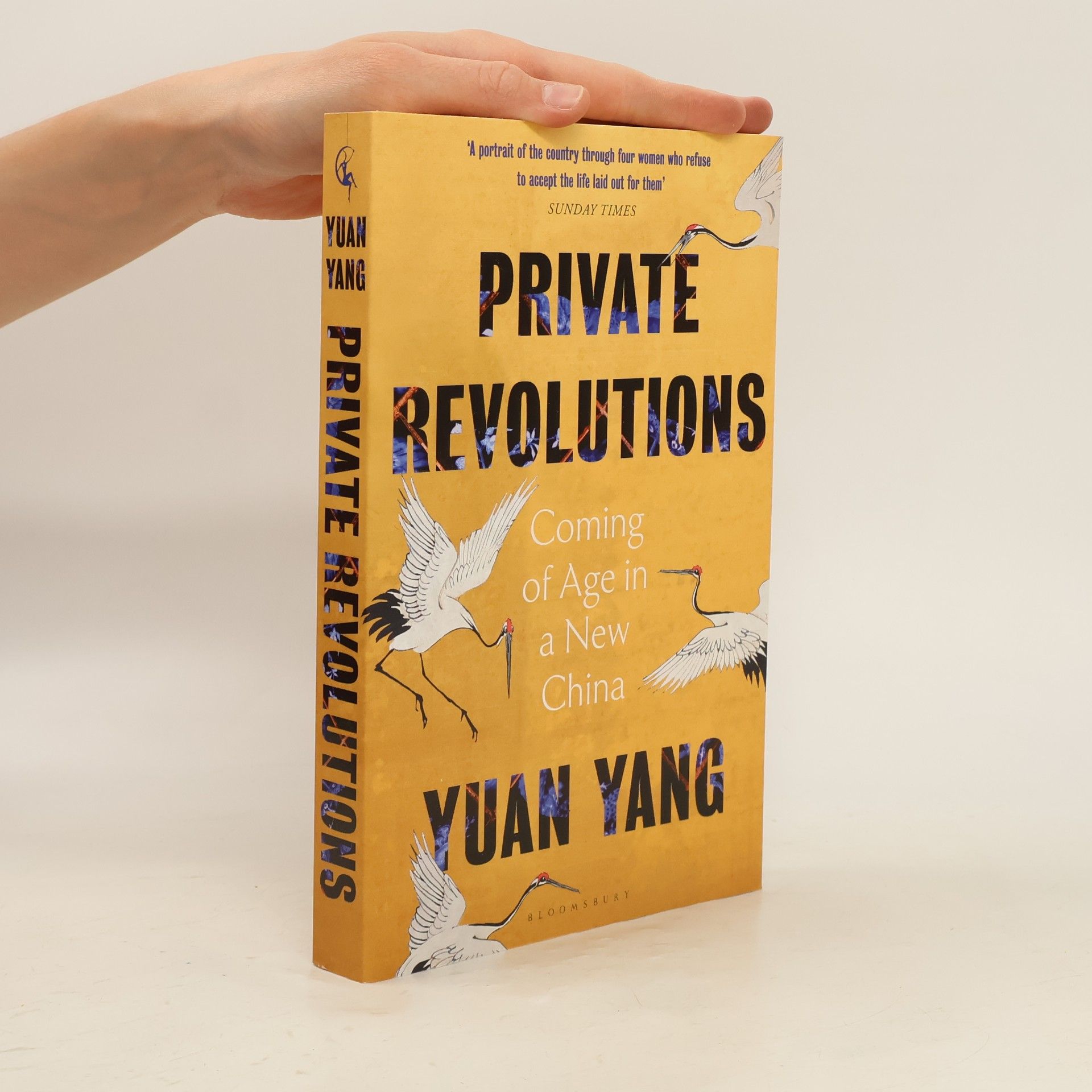 Lingling Yang Private Revolutions
