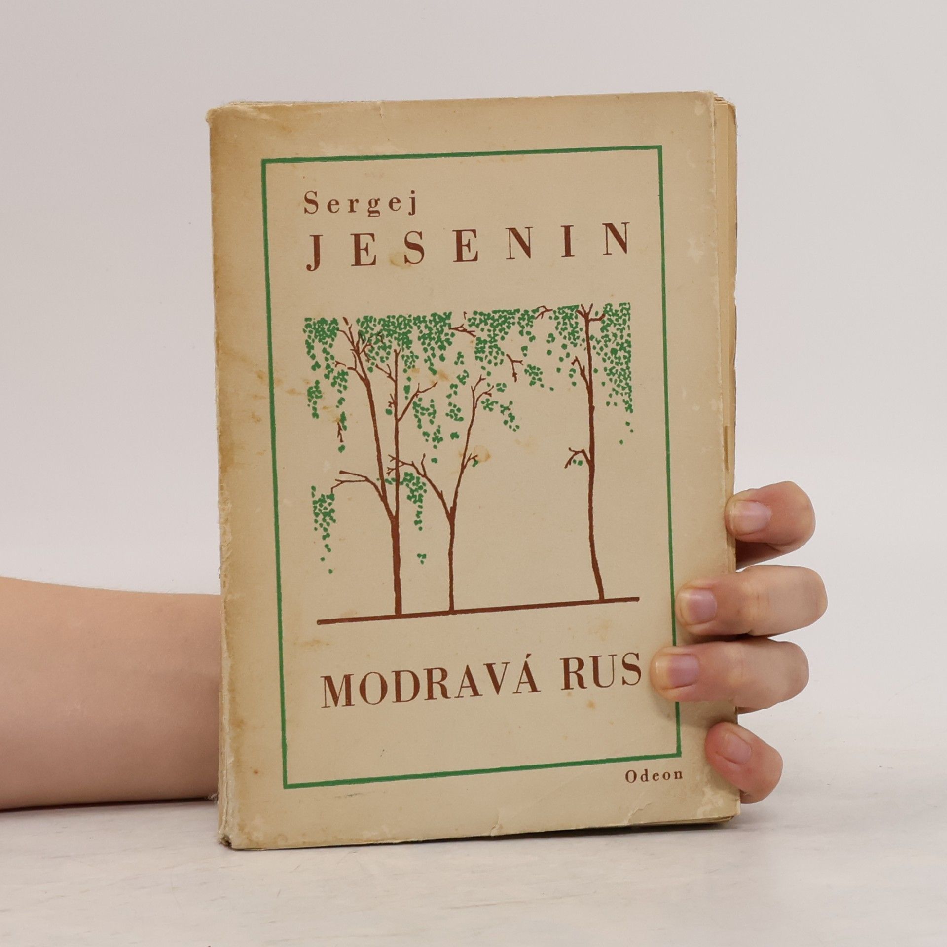 Sergei Yesenin Modravá rus