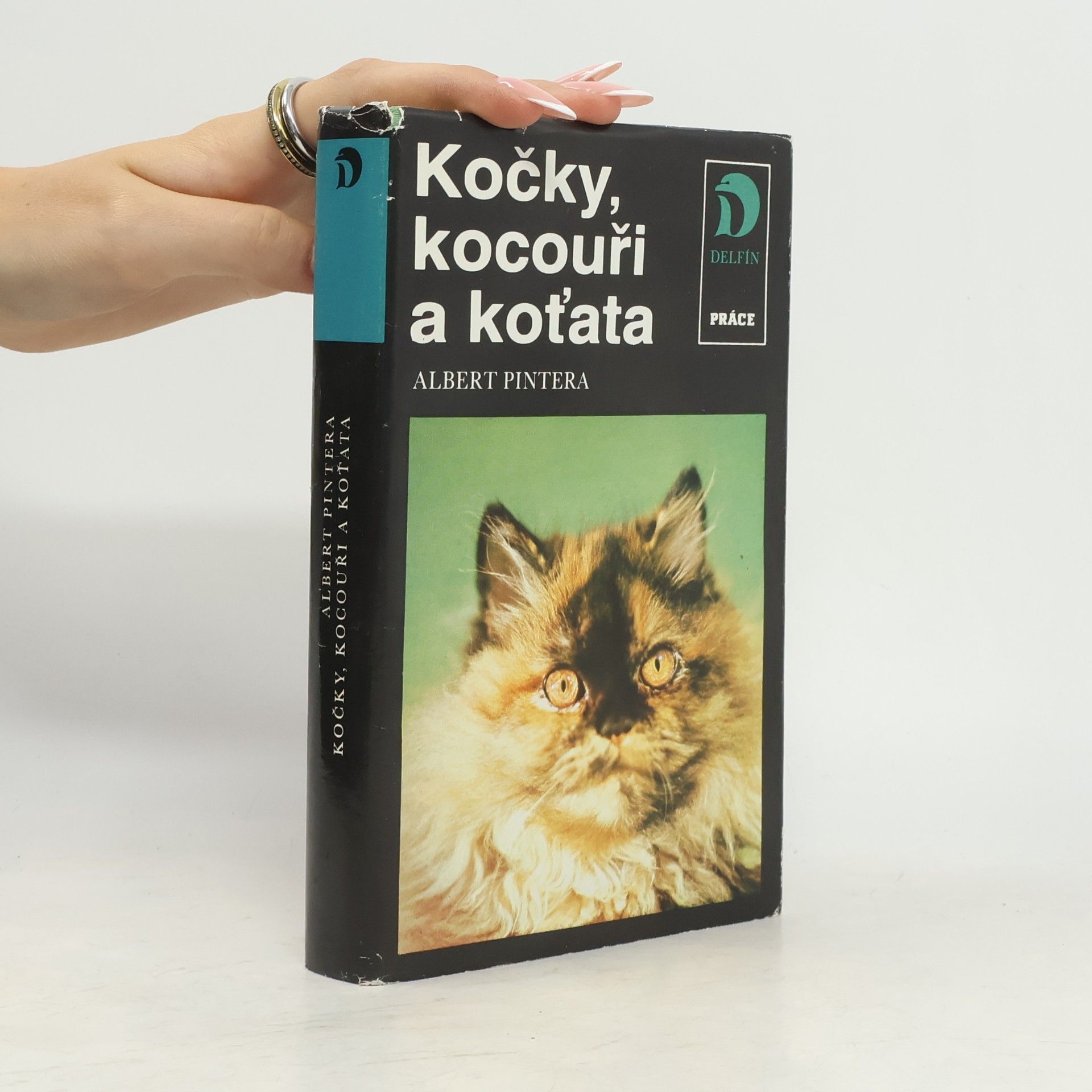Albert Pintera Kočky, kocouři a koťata
