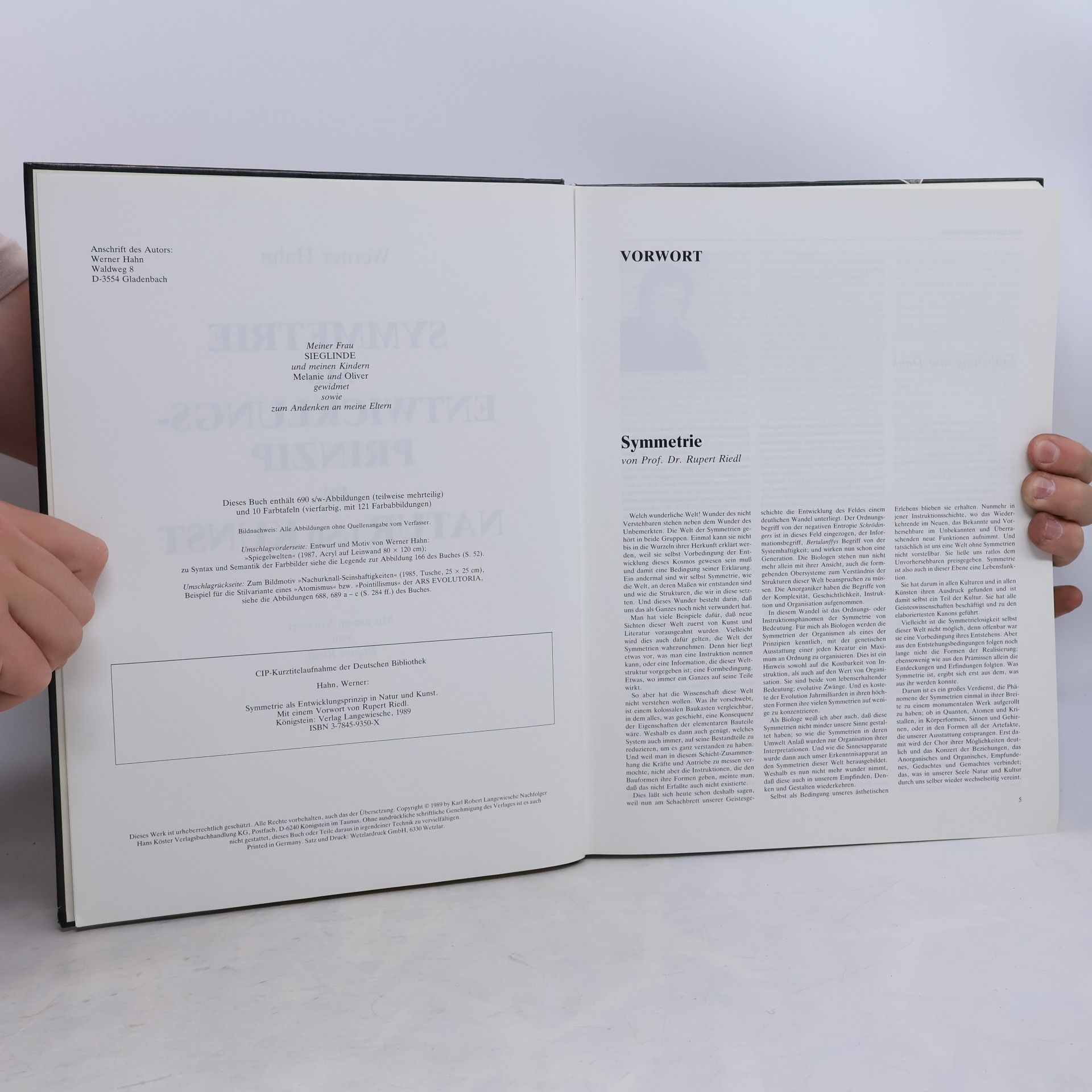 Hans-Werner Hahn Symmetrie als Entwicklungsprinzip in Natur und Kunst