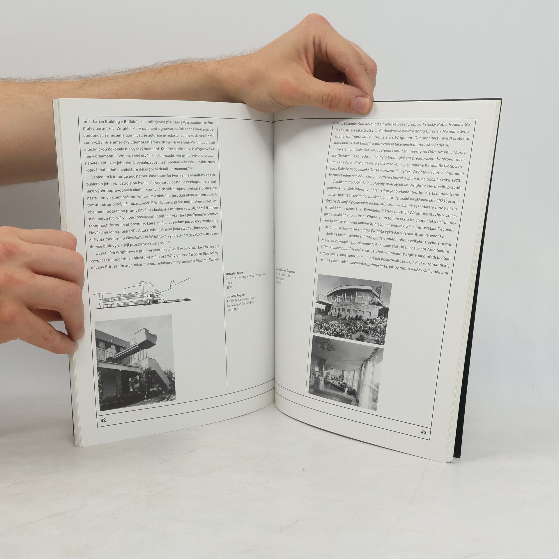 Kolektiv autorů F. L. Wright a česká architektura