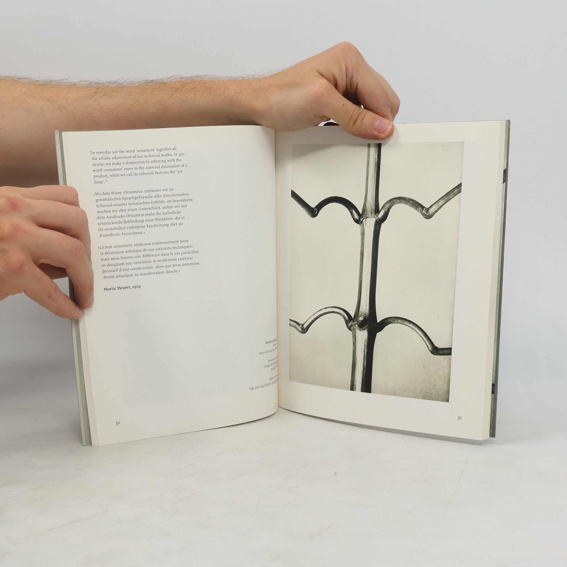 Karl Blossfeldt Photographs 1865 - 1932