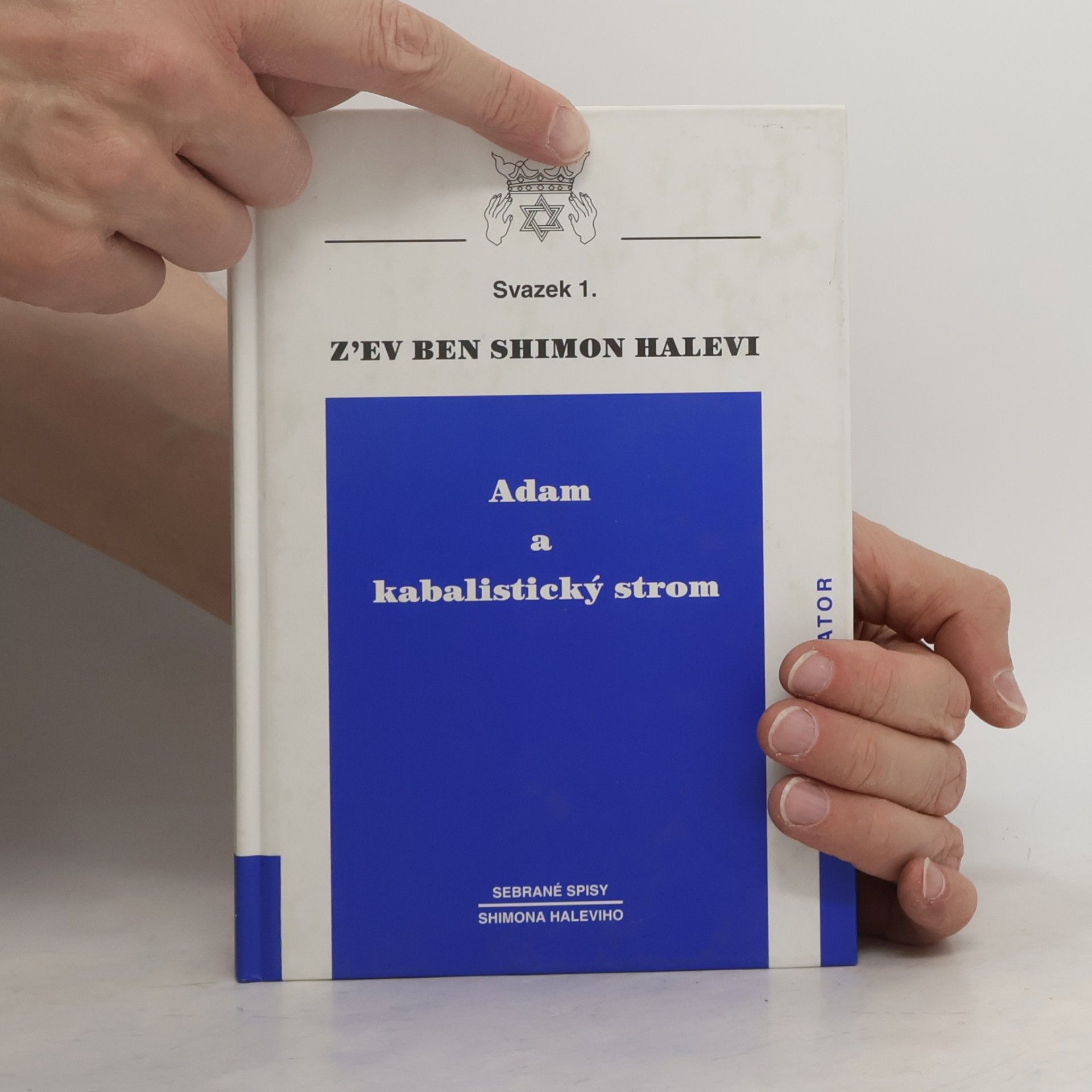 Zev Ben-Shimon Halevi Adam a kabalistický strom
