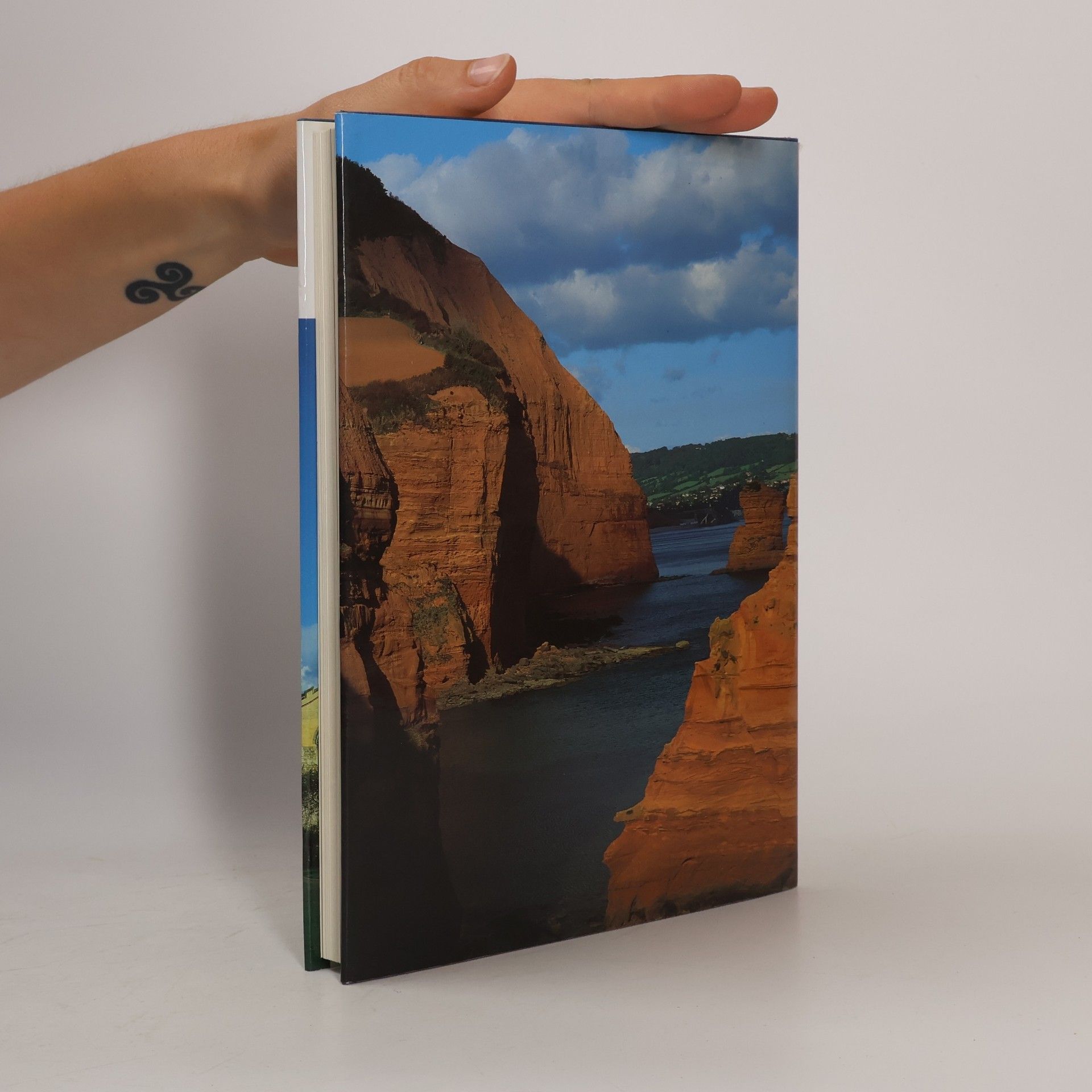 Robin Stanes Darwen County History: A History of Devon