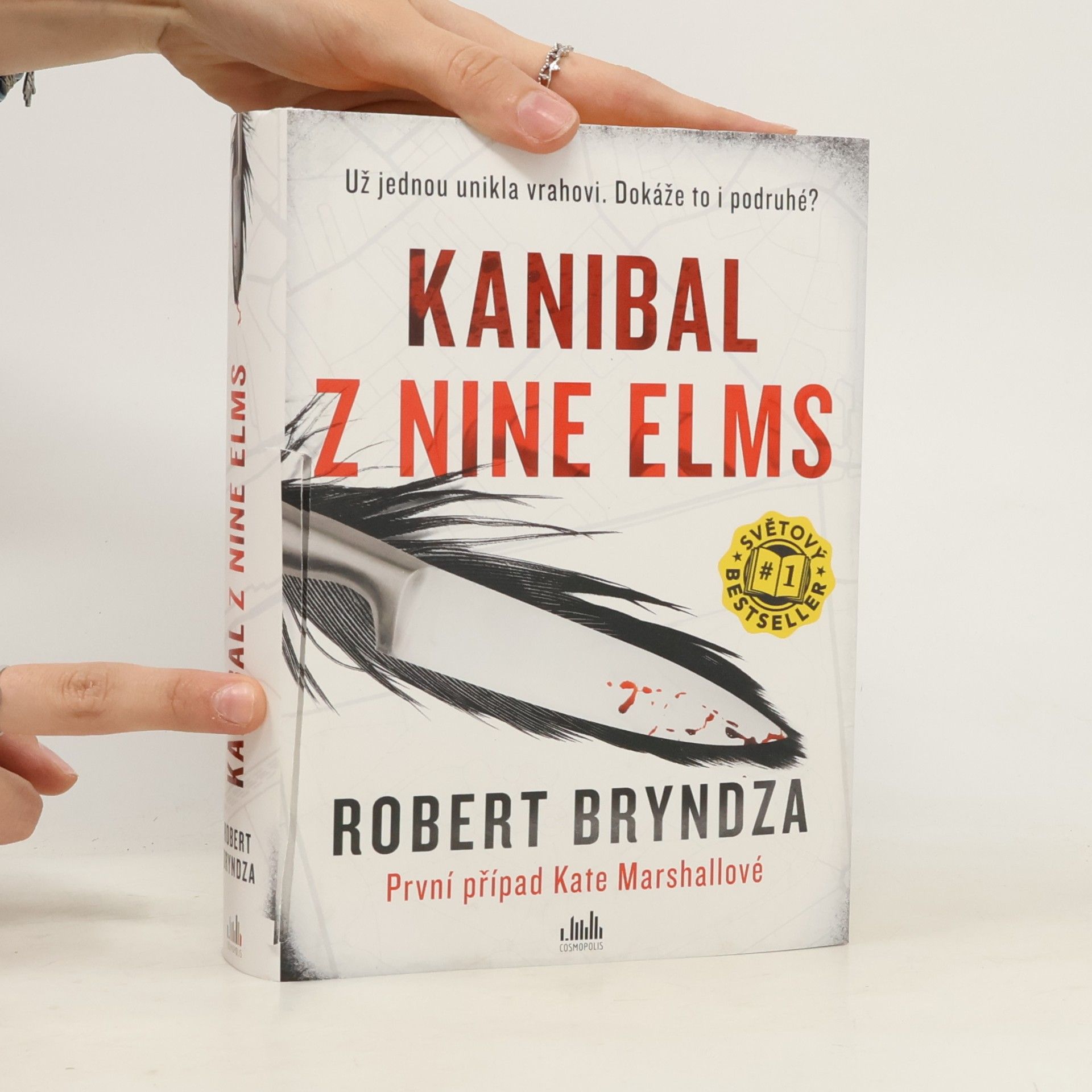 Robert Bryndza Kanibal z Nine Elms