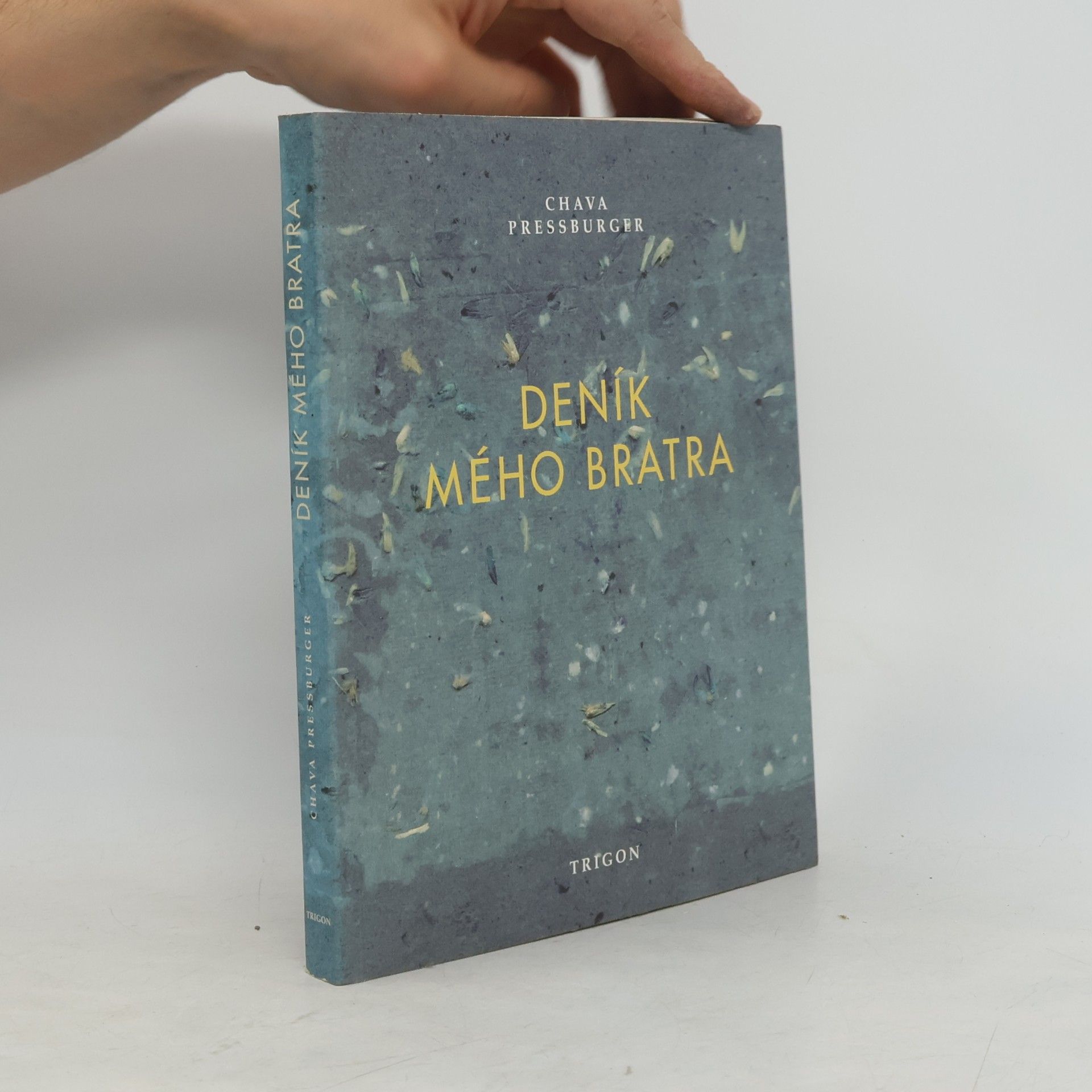 Petr Ginz Deník mého bratra