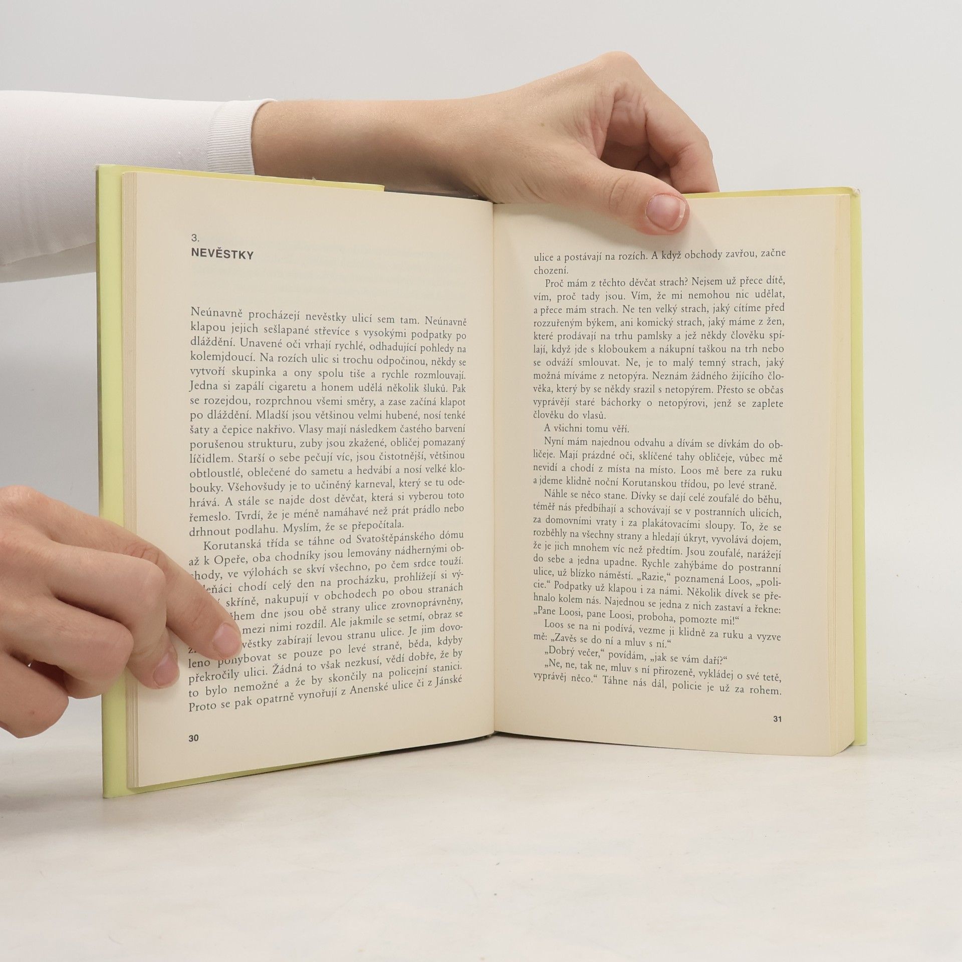 Elsie Altmann-Loos Můj život a Adolf Loos
