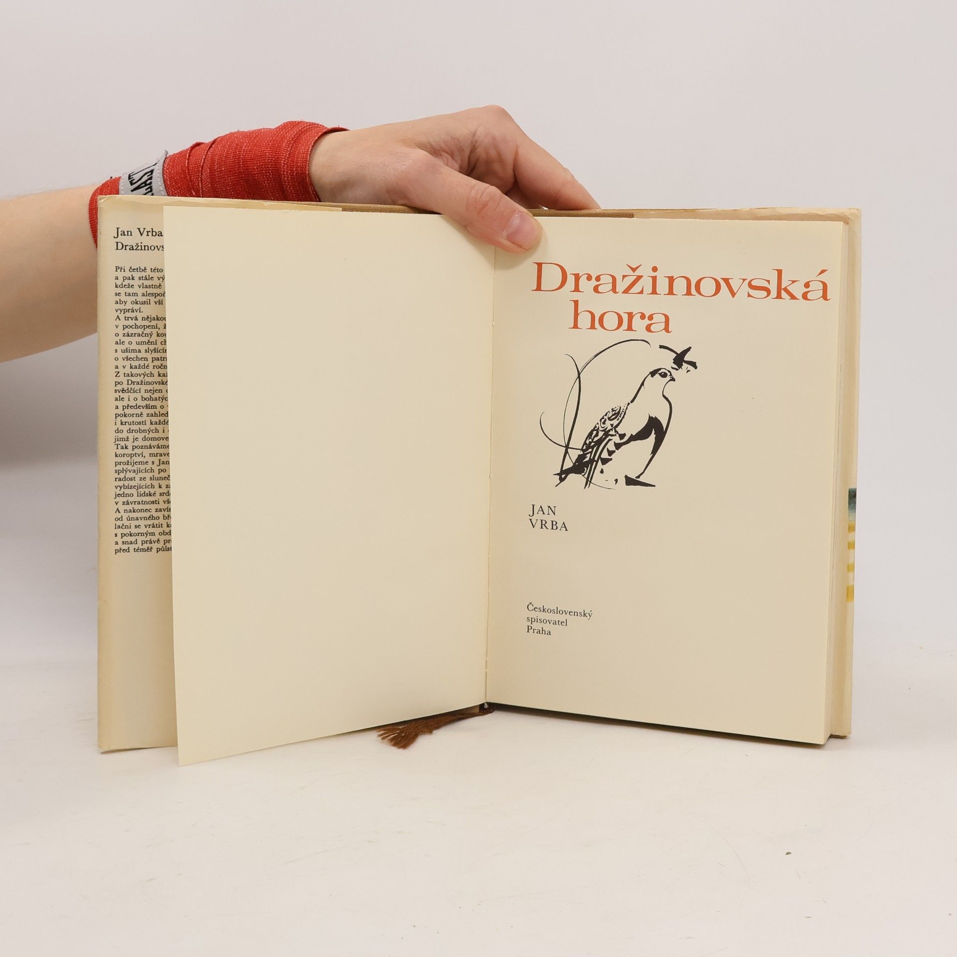 Jan Vrba Dražinovská hora
