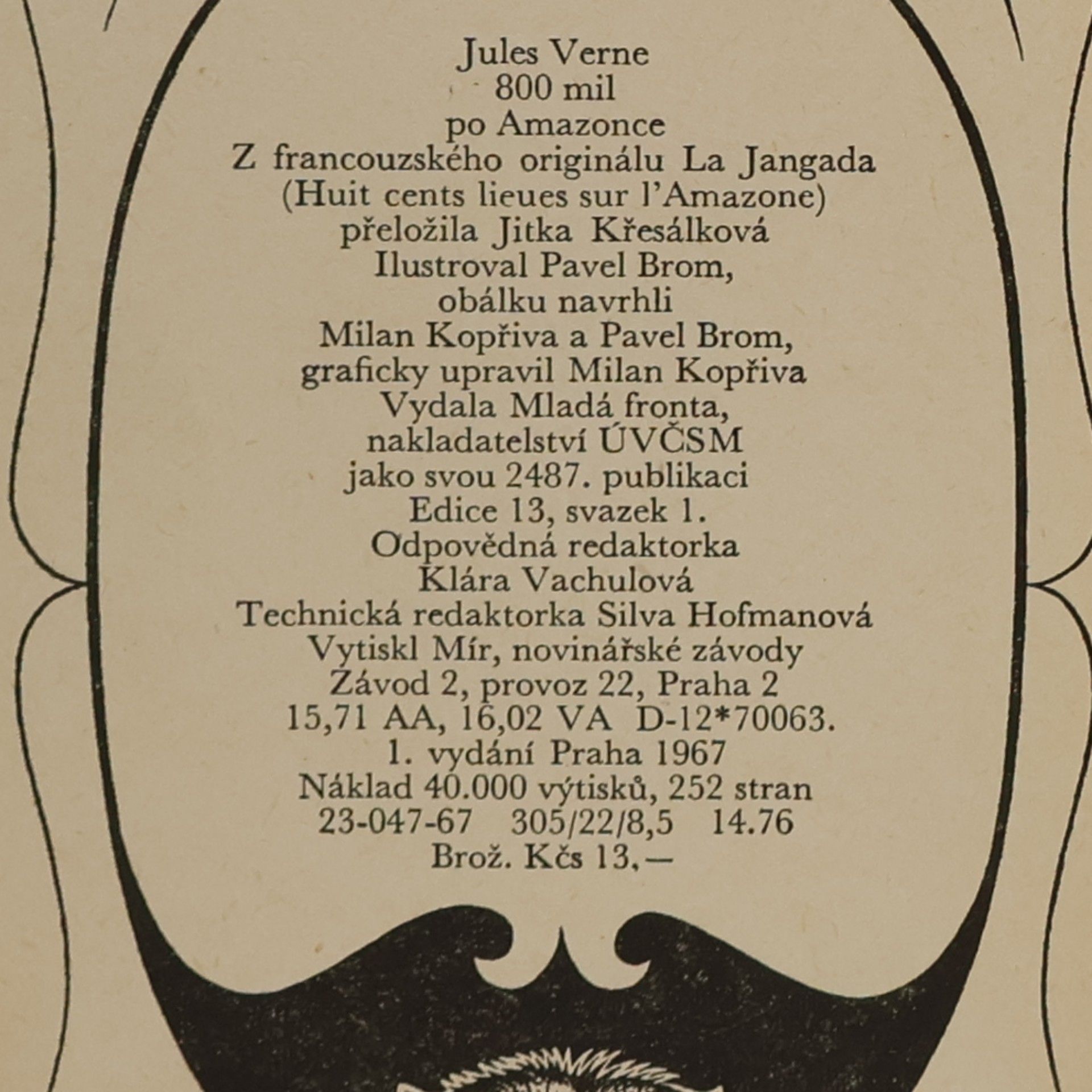 Jules Verne 800 mil po Amazonce. Jangada