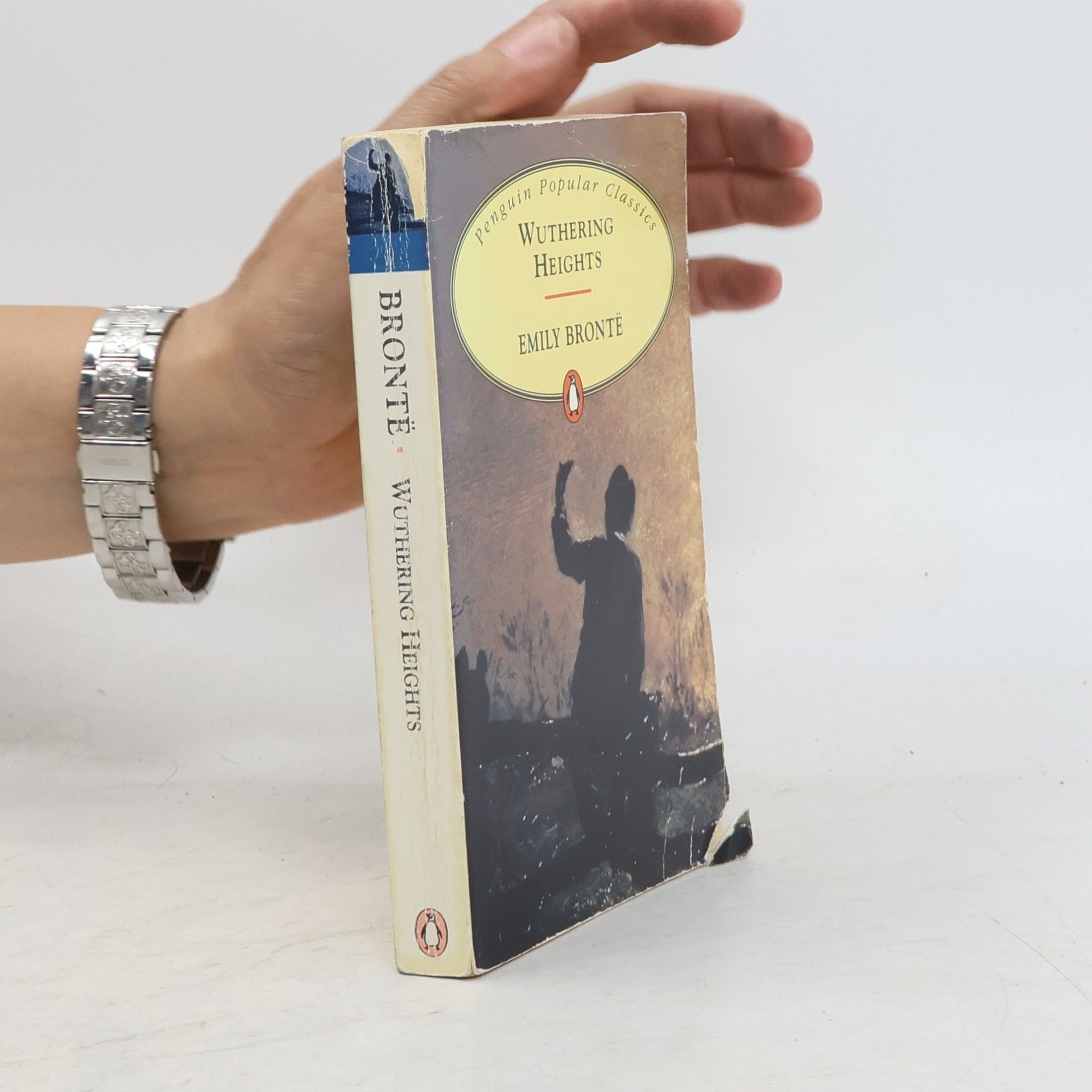 Emily Brontë Wuthering Heights