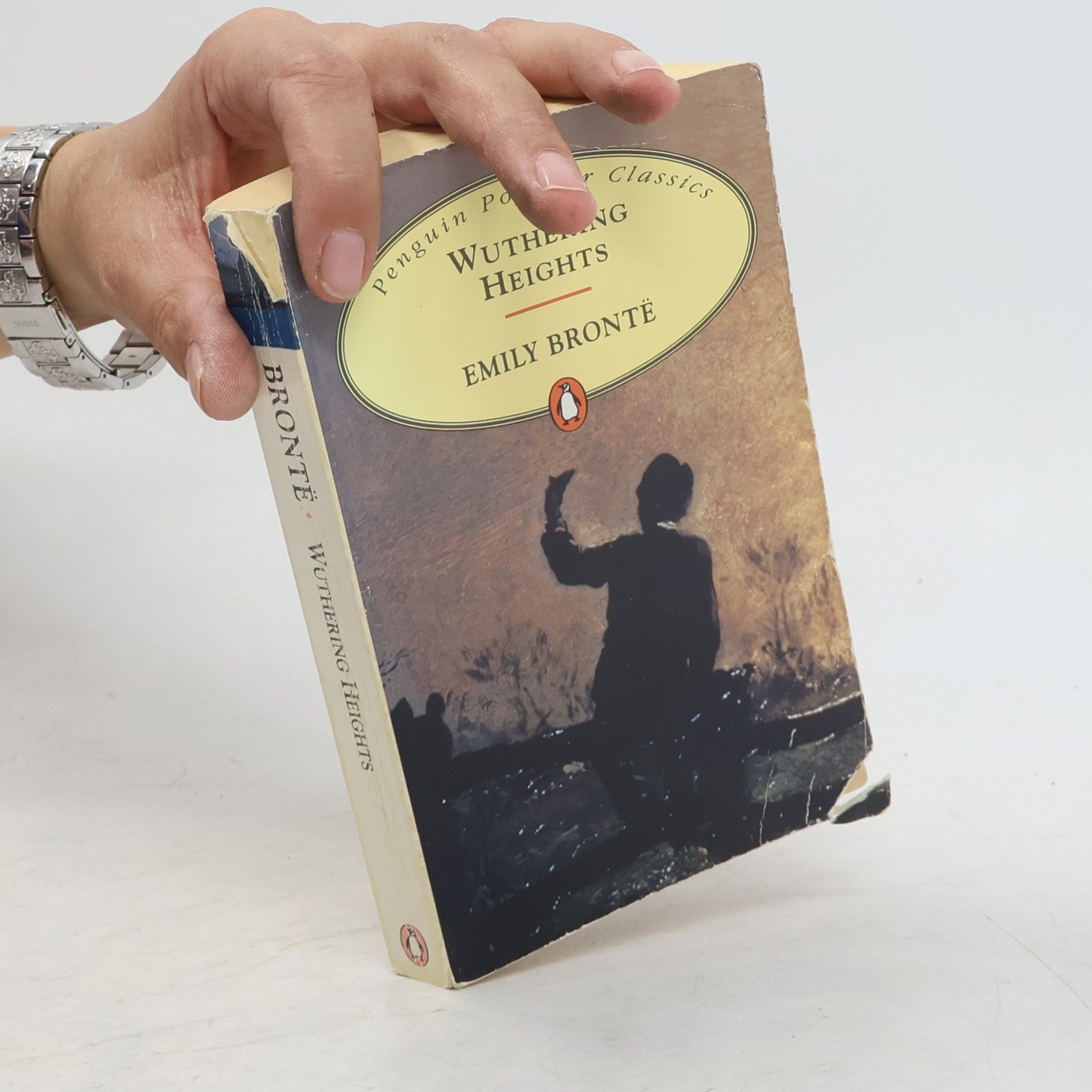 Emily Brontë Wuthering Heights
