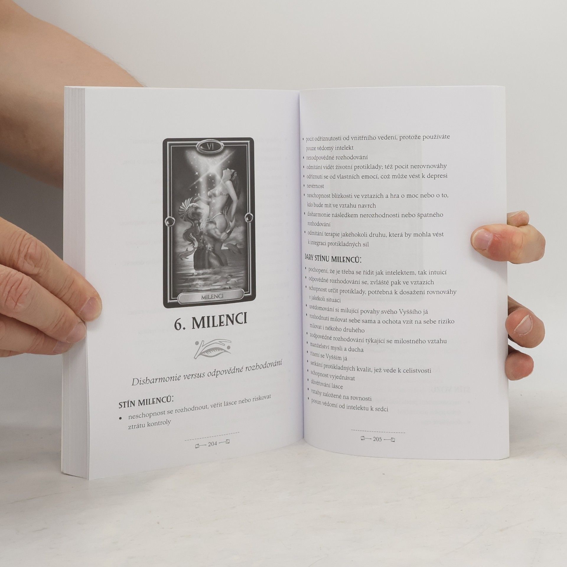 Christine Jette Tarot. Práce se stínem