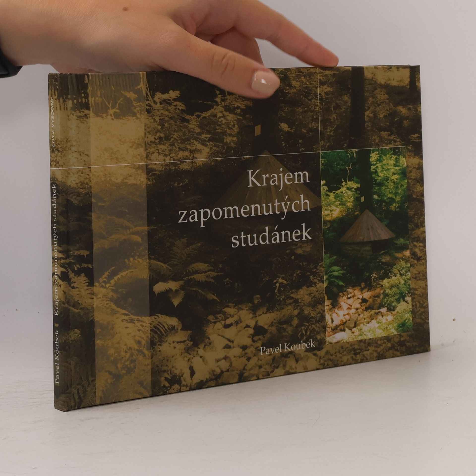 Pavel Koubek Krajem zapomenutých studánek