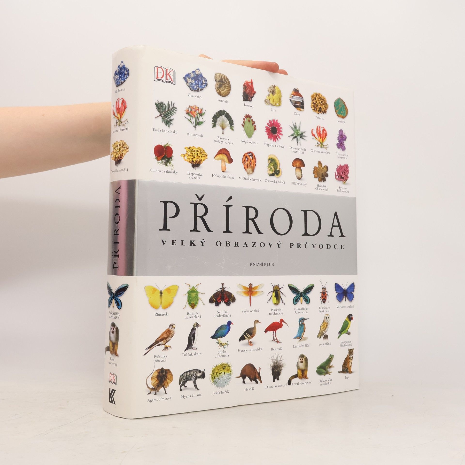 Richard Beatty Příroda – Velký obrazový průvodce
