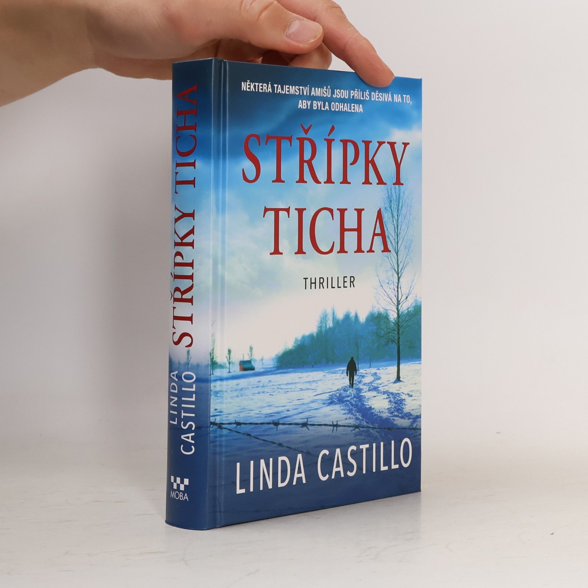 Linda Castillo Střípky ticha