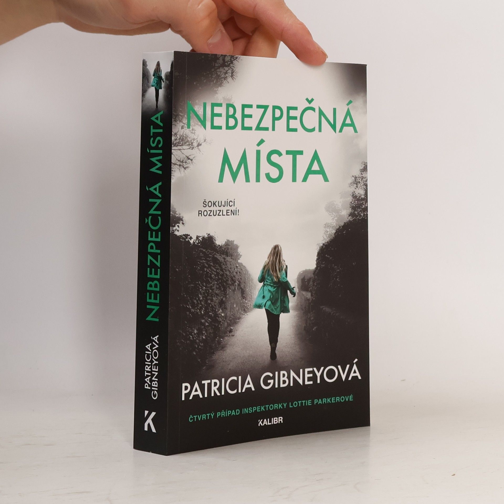 Patricia Gibney Nebezpečná místa