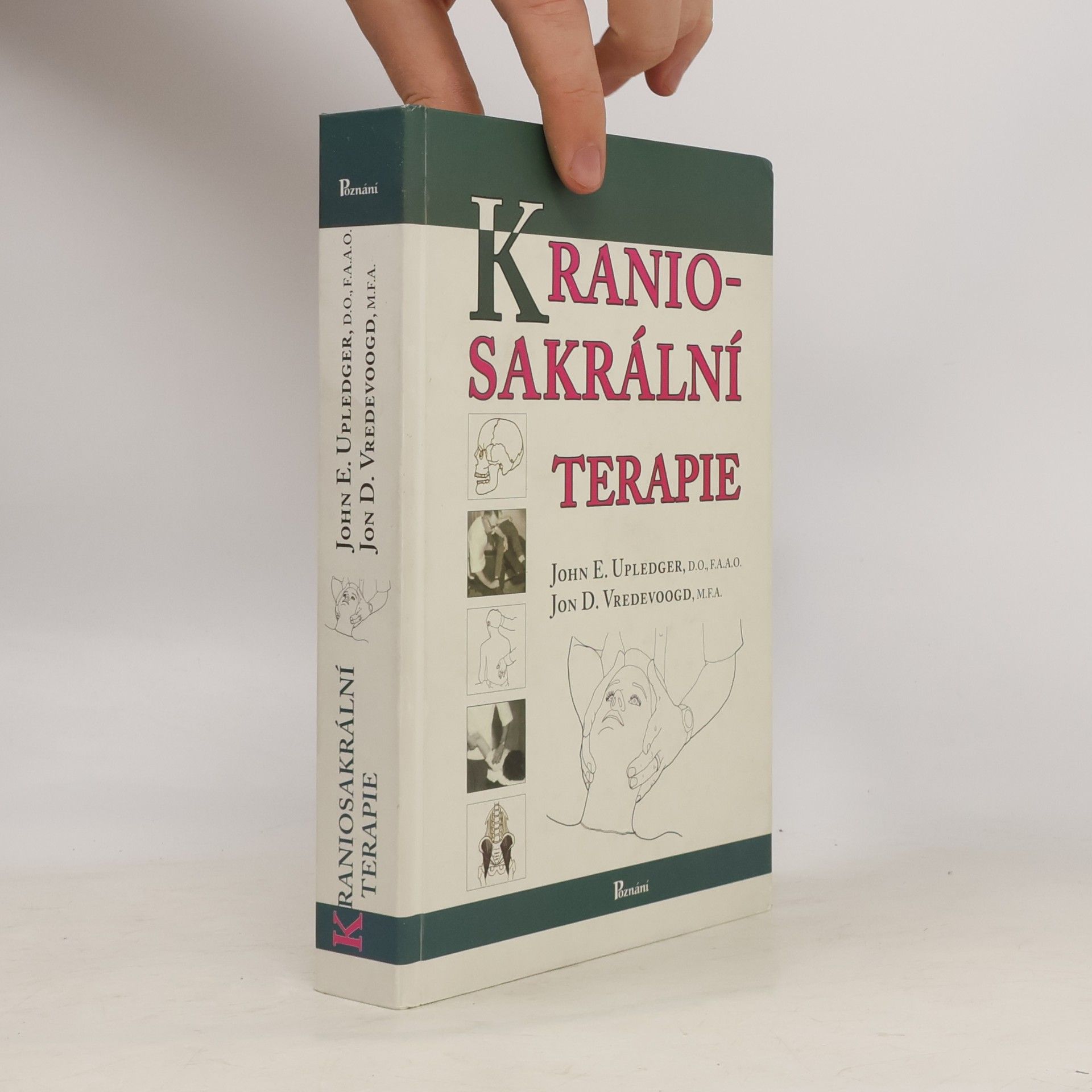 John E. Upledger Kraniosakrální terapie = Craniosacral therapy /