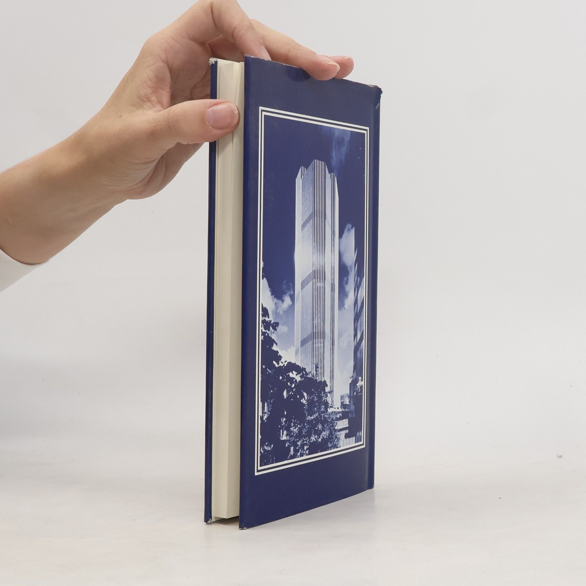 Peter Murray RIBA Guides to Modern Architecture: Modern British Architecture Since 1945