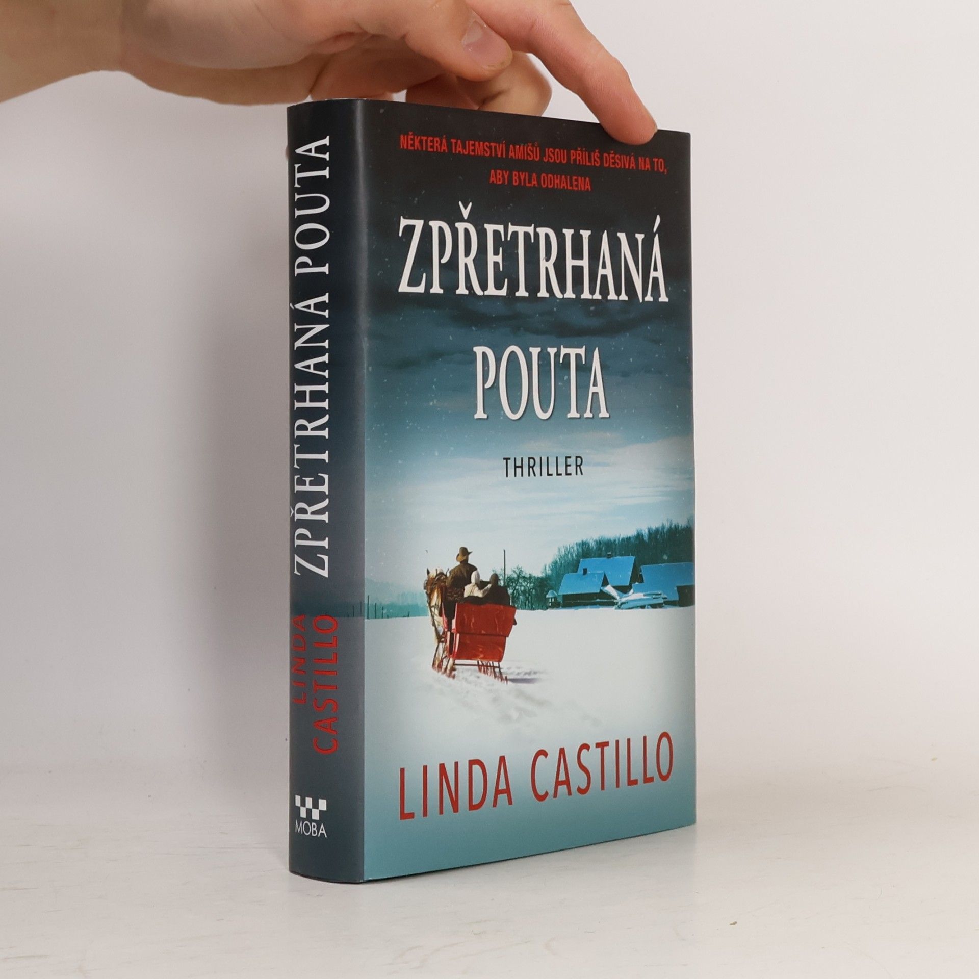 Linda Castillo Zpřetrhaná pouta