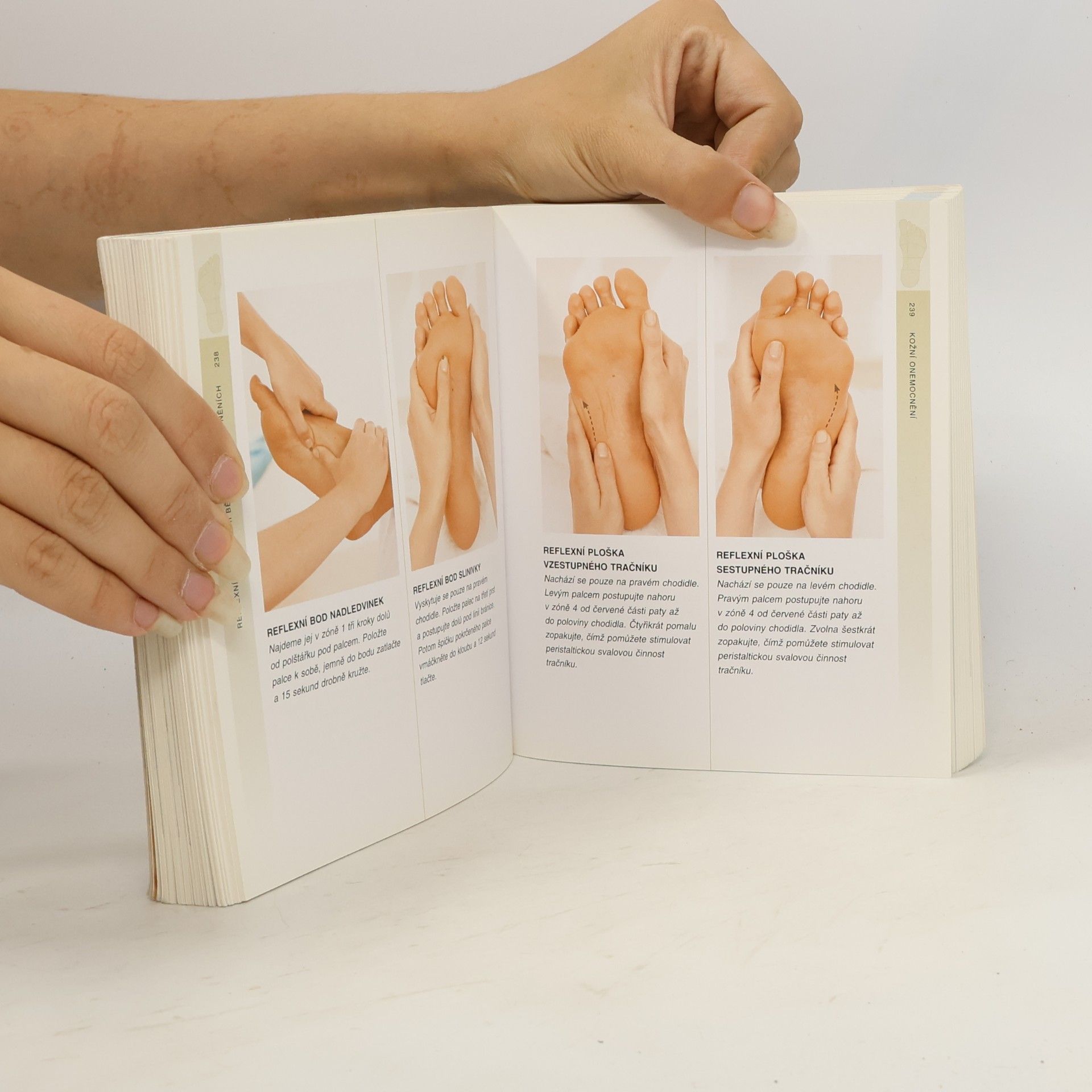 Louise Keet Reflexologie od A do Z