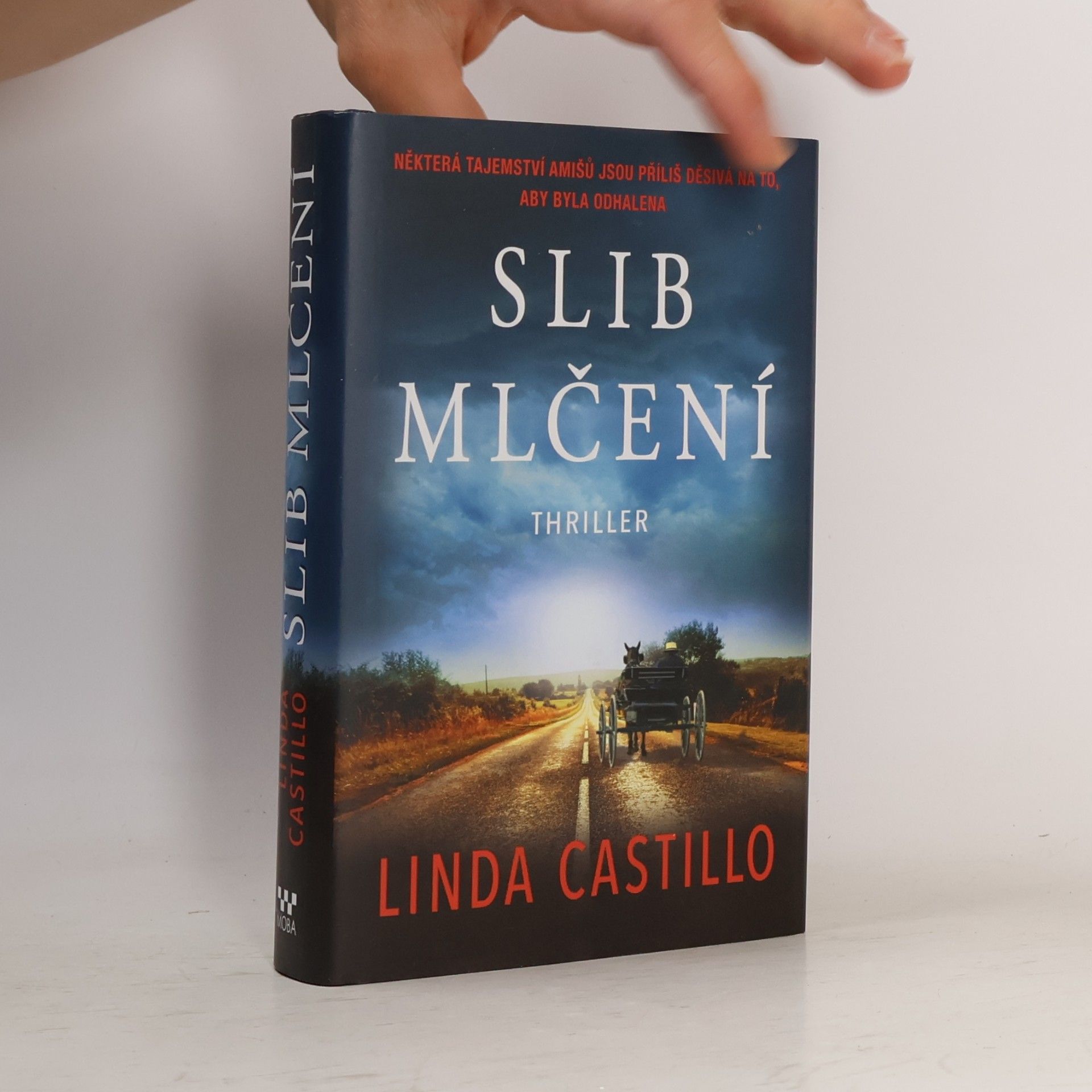 Linda Castillo Slib mlčení