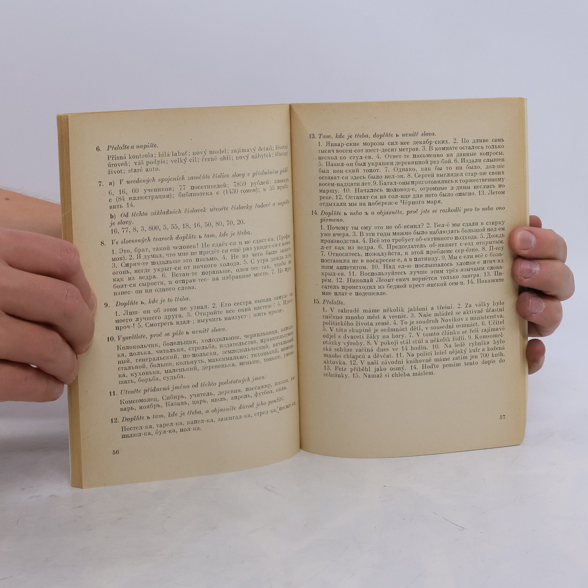 Autorenkollektiv Příručka ruského pravopisu