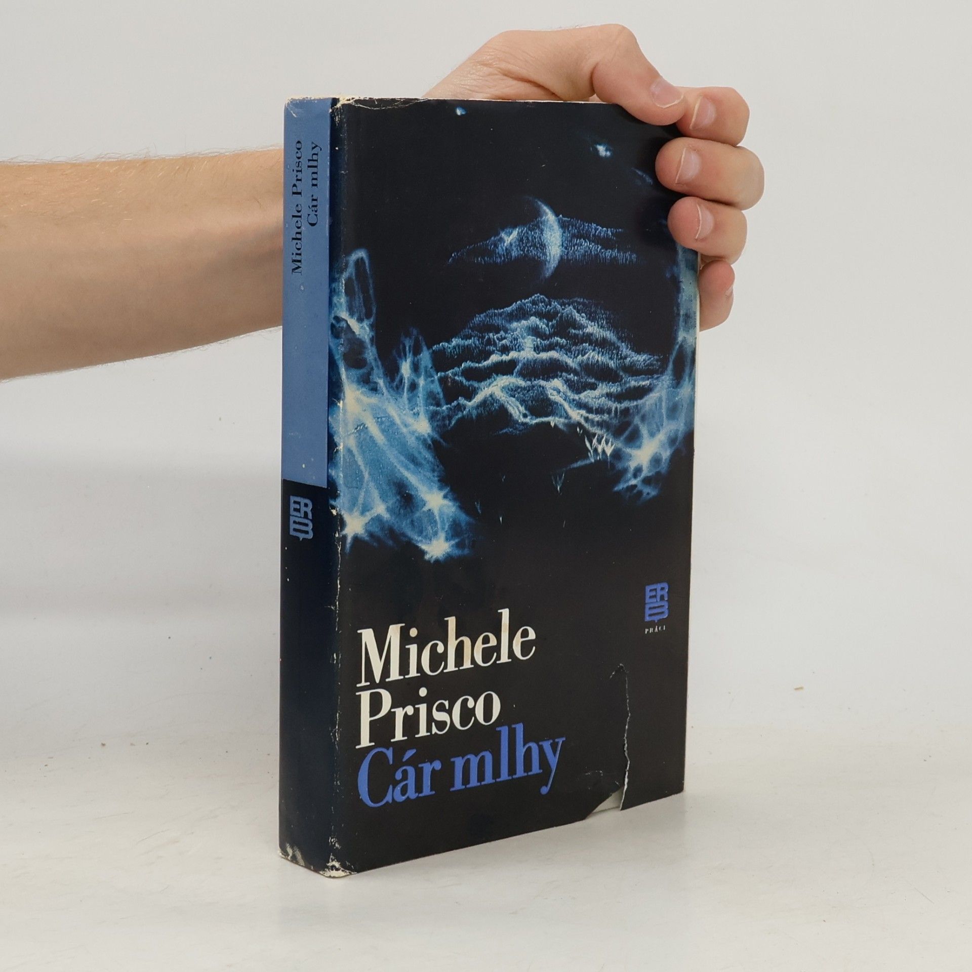 Michele Prisco Cár mlhy