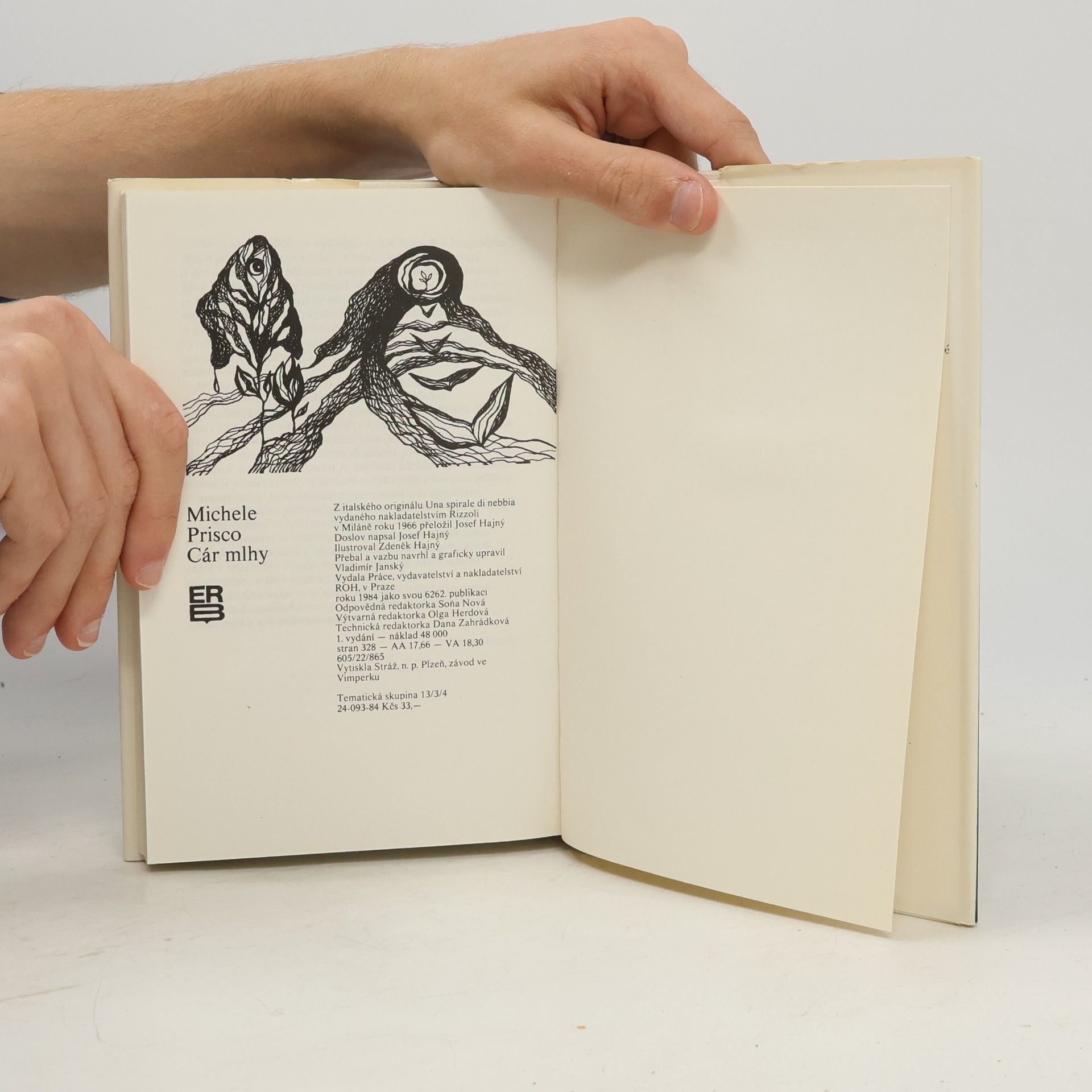 Michele Prisco Cár mlhy