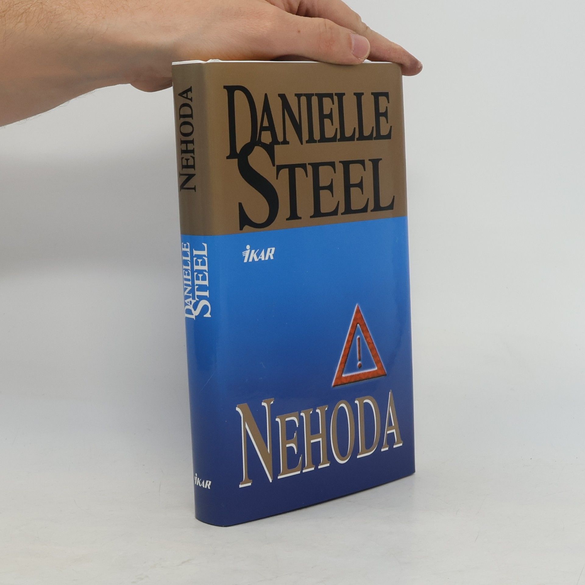 Danielle Steel Nehoda