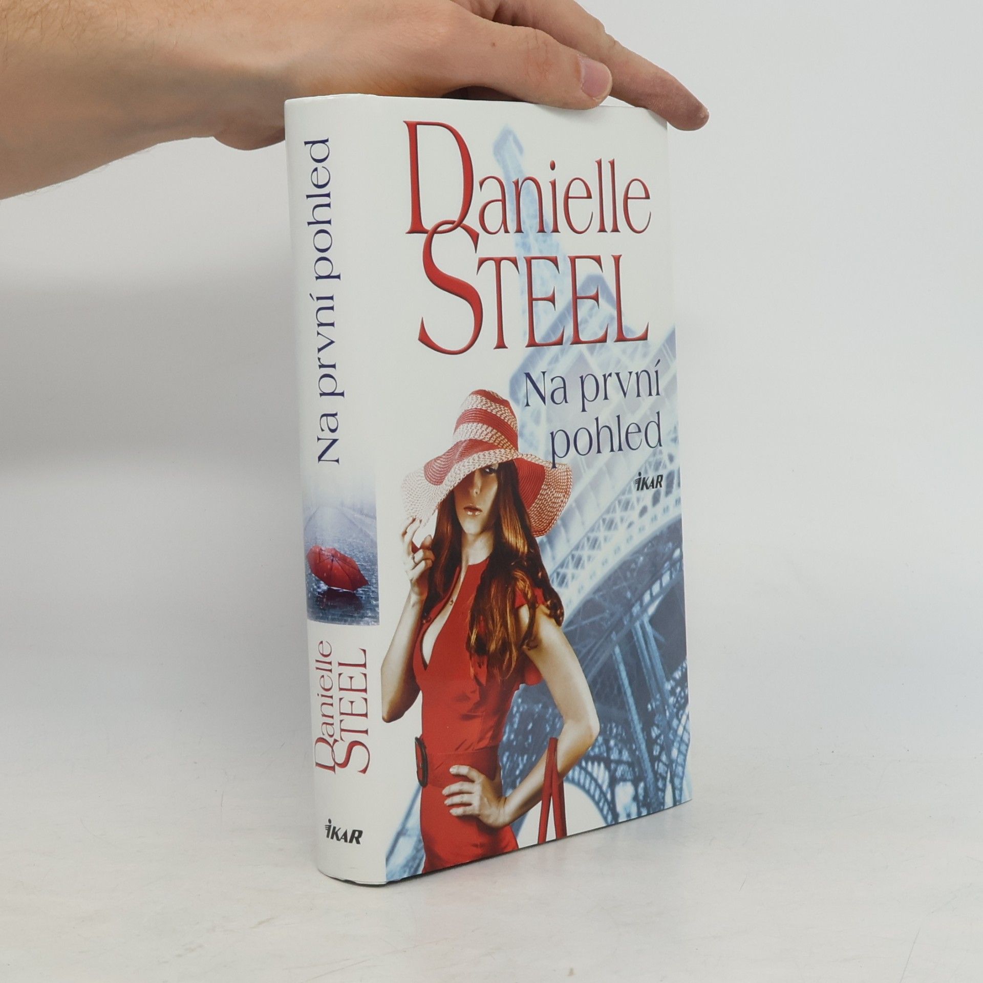Danielle Steel Na první pohled