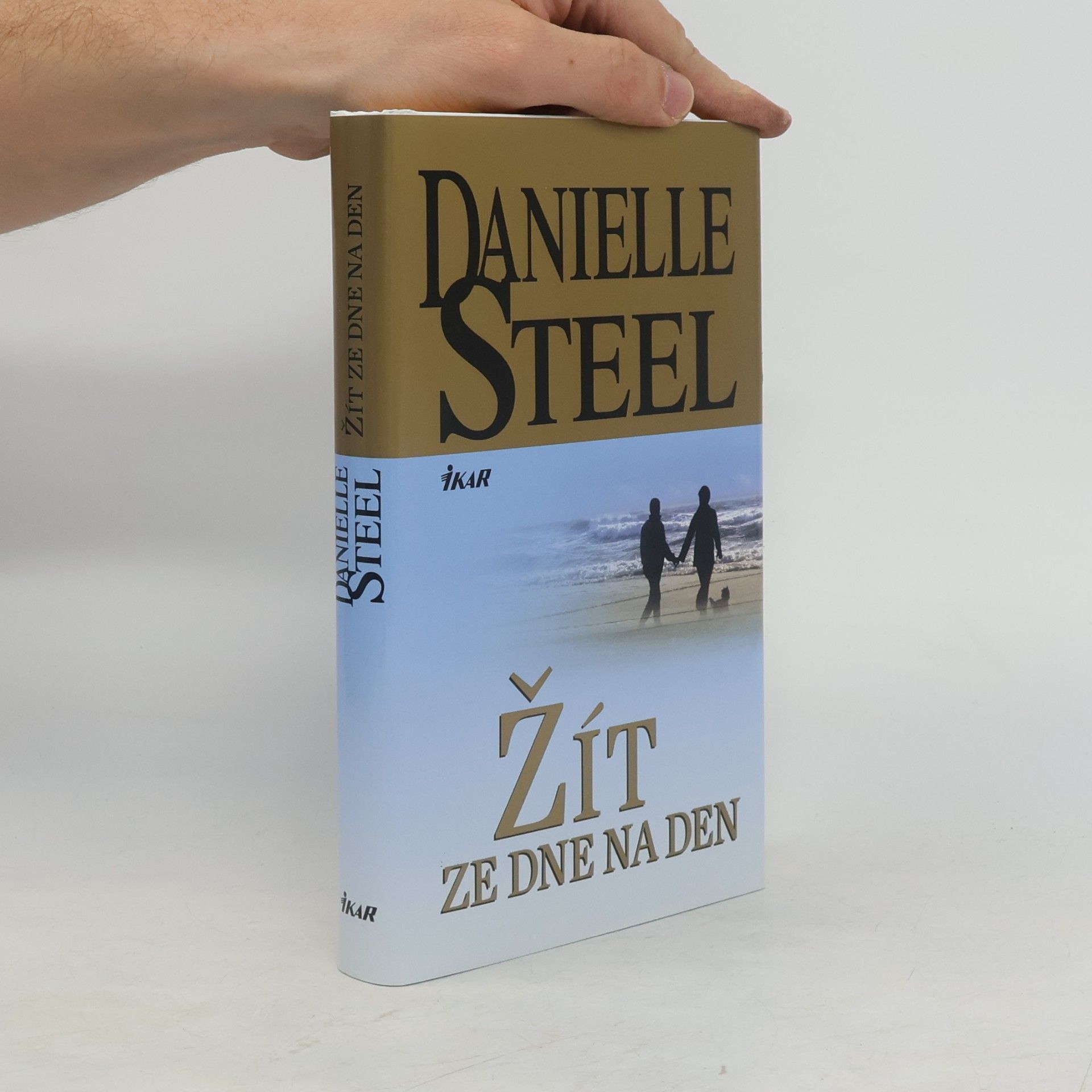 Danielle Steel Žít ze dne na den