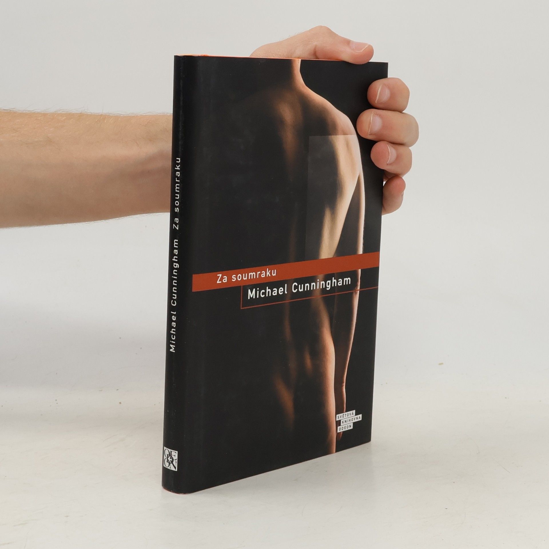 Michael Cunningham Za soumraku