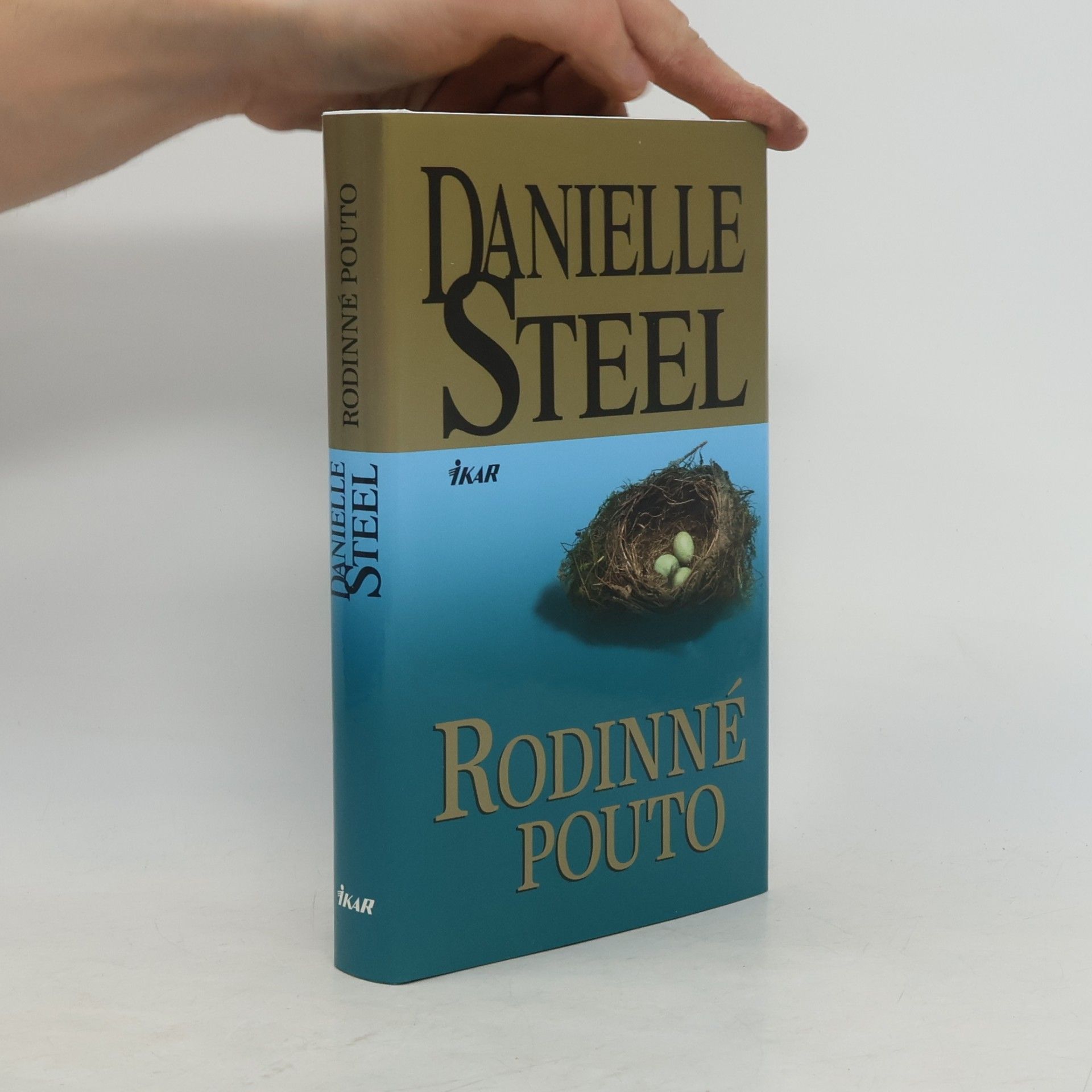 Danielle Steel Rodinné pouto