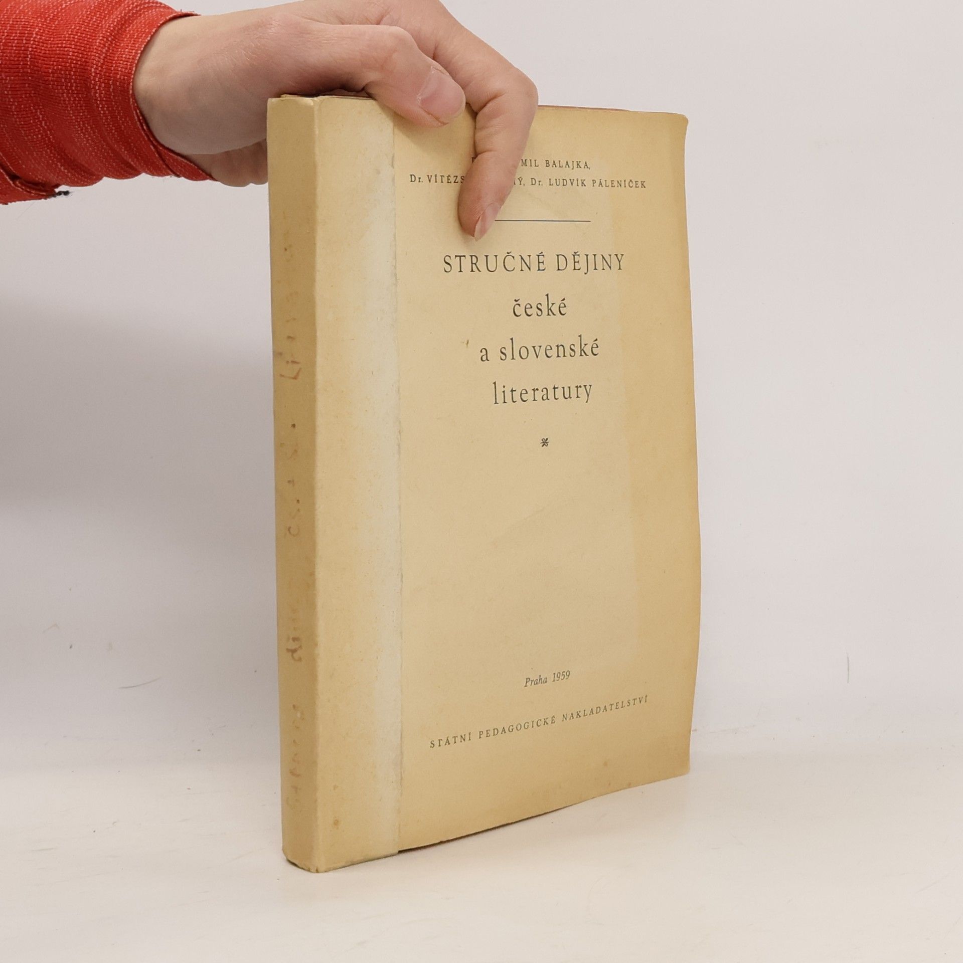 Stručné dějiny české a slovenské literatury
