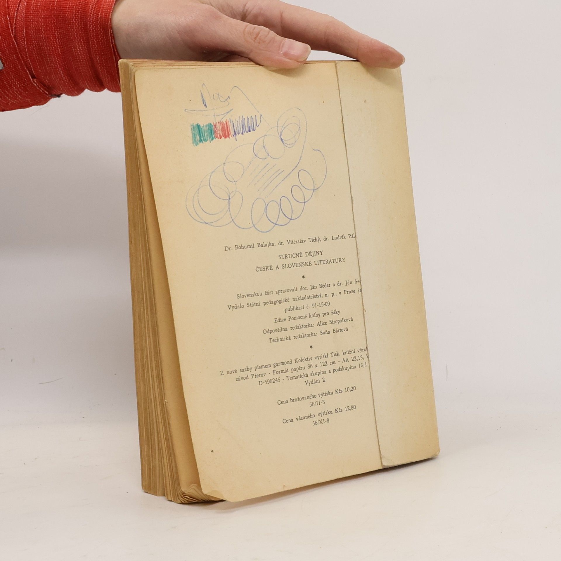 Bohuš Balajka Stručné dějiny české a slovenské literatury