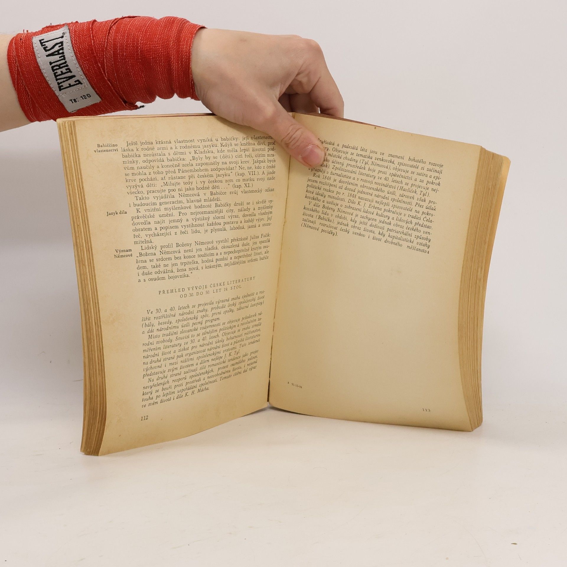 Bohuš Balajka Stručné dějiny české a slovenské literatury