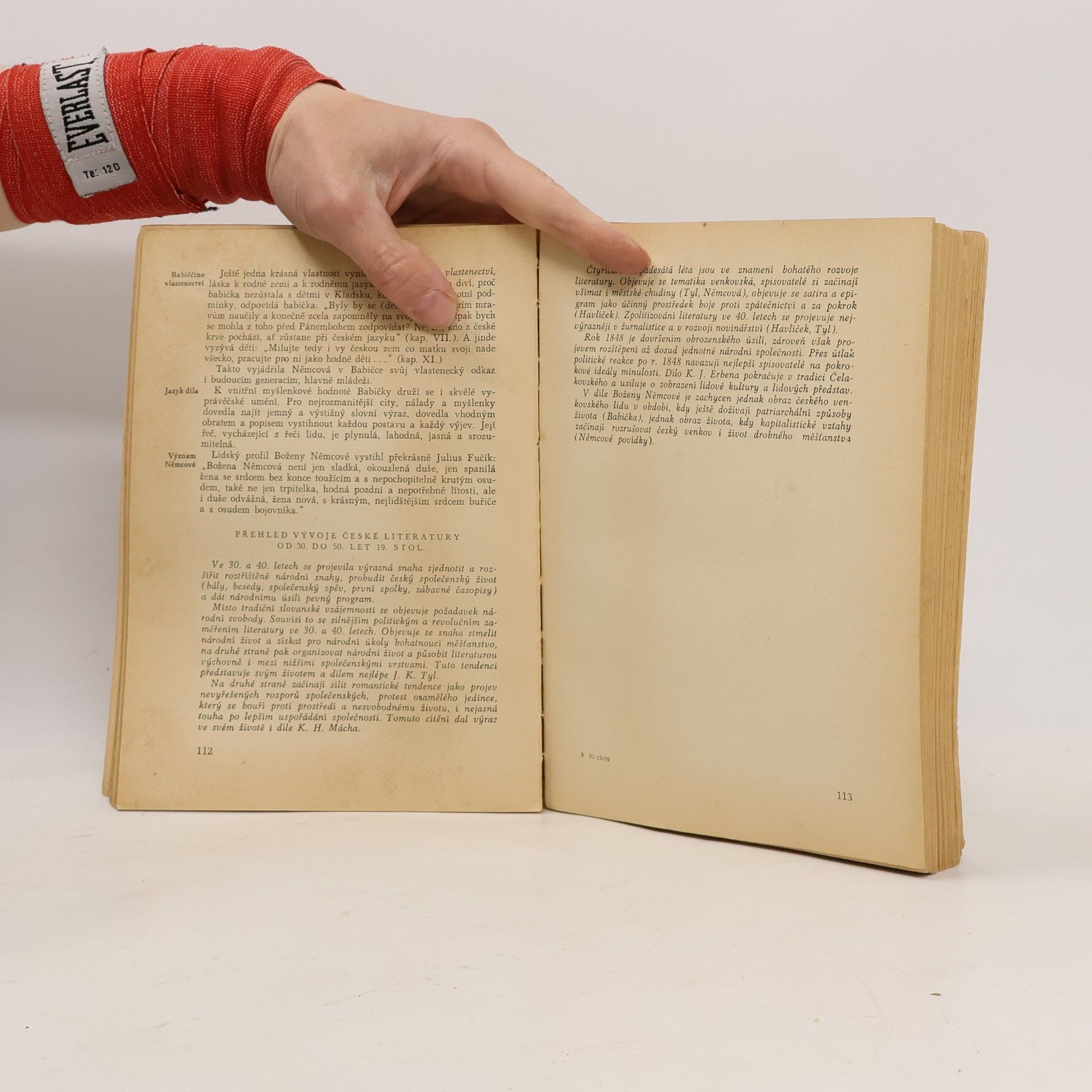 Bohuš Balajka Stručné dějiny české a slovenské literatury