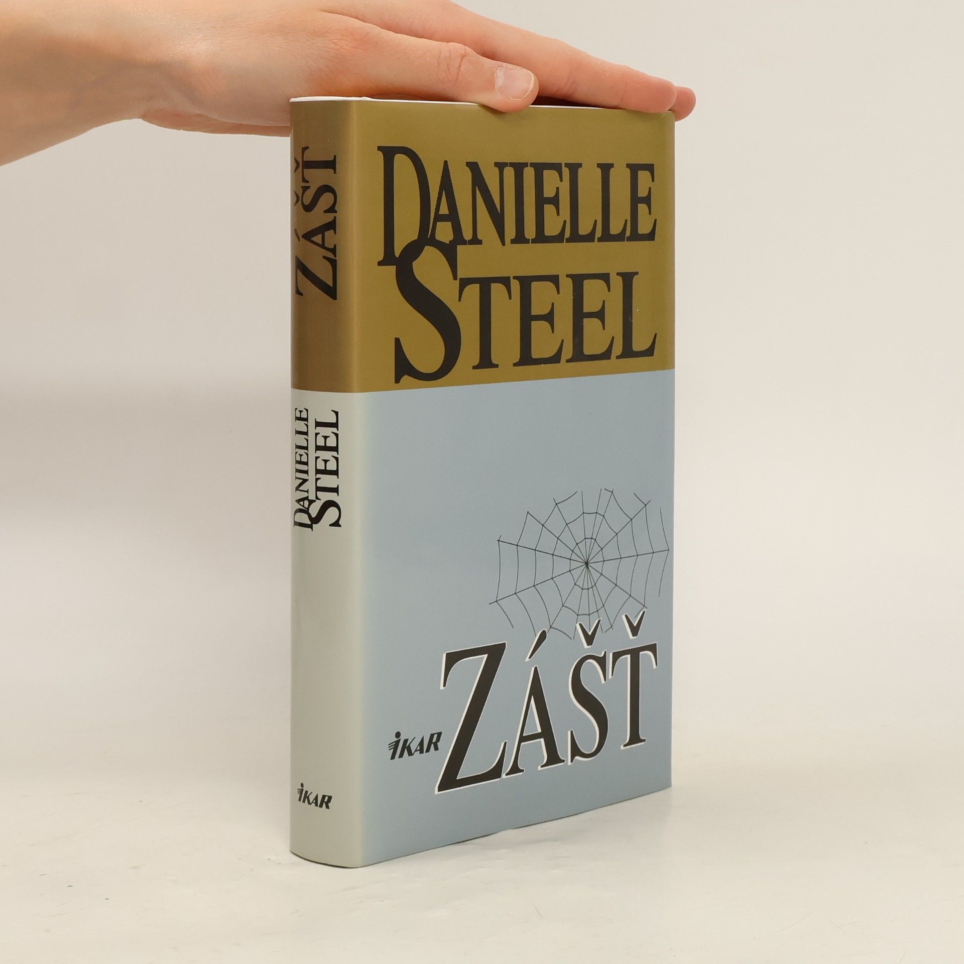 Danielle Steel Zášť