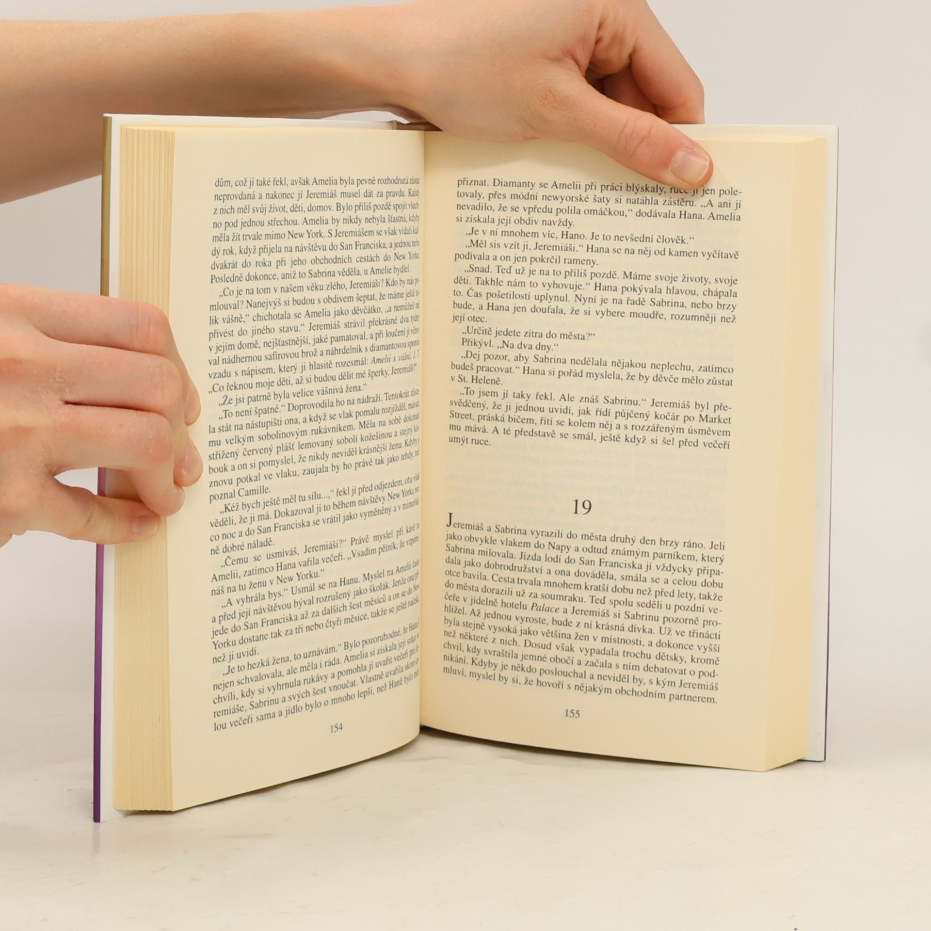 Danielle Steel Thurstonův dům