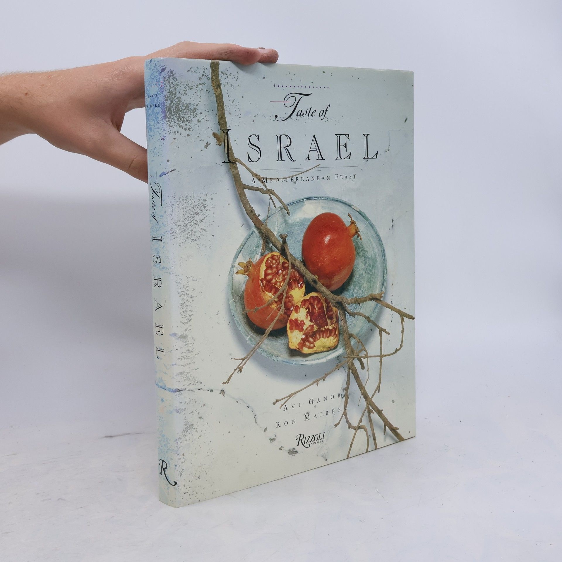 Ron Maiberg Taste of Israel
