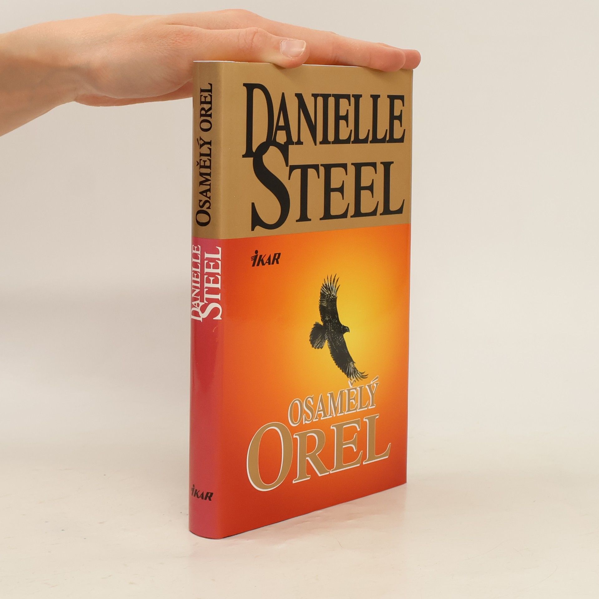 Danielle Steel Osamělý orel