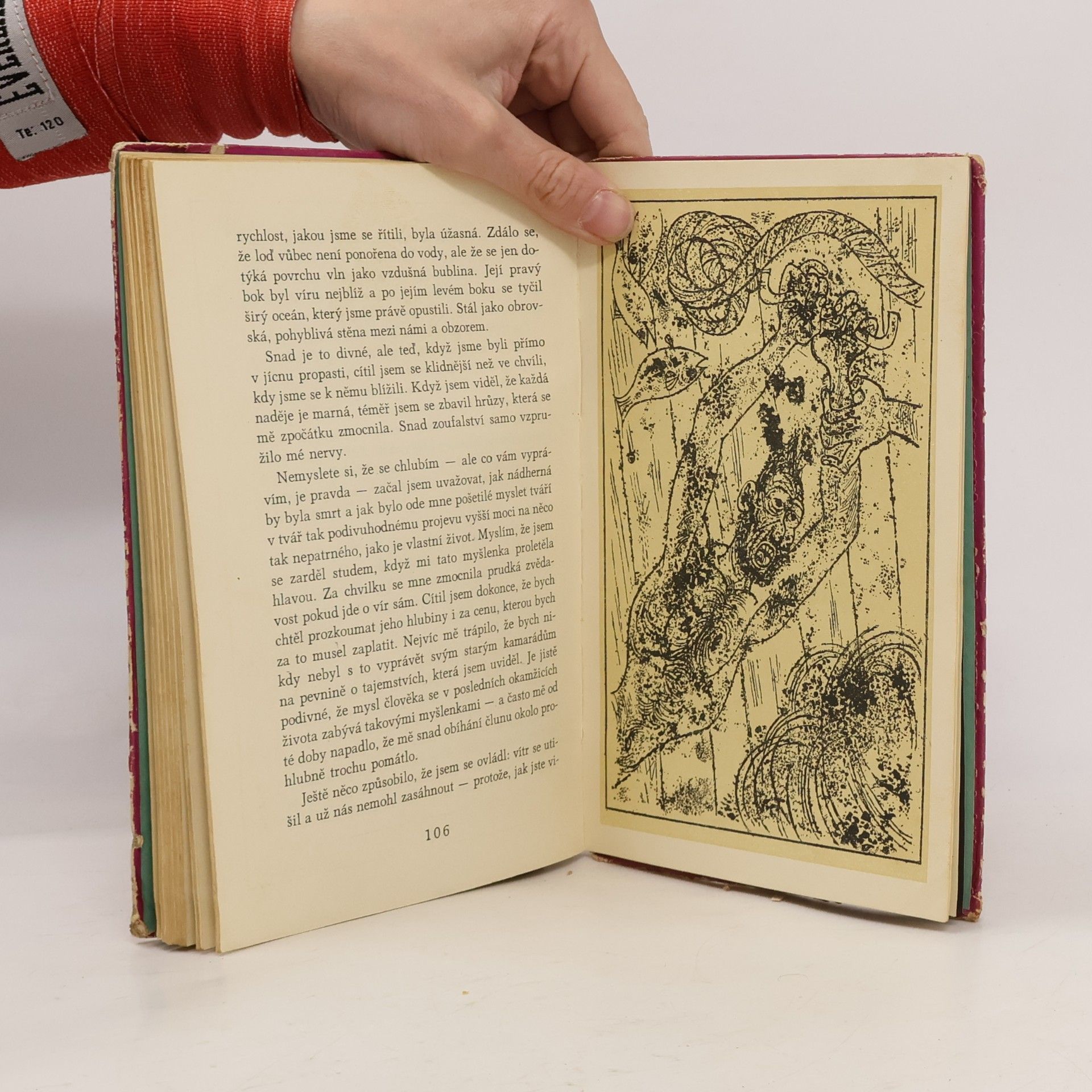 Edgar Allan Poe Zlatý skarabeus a jiné povídky
